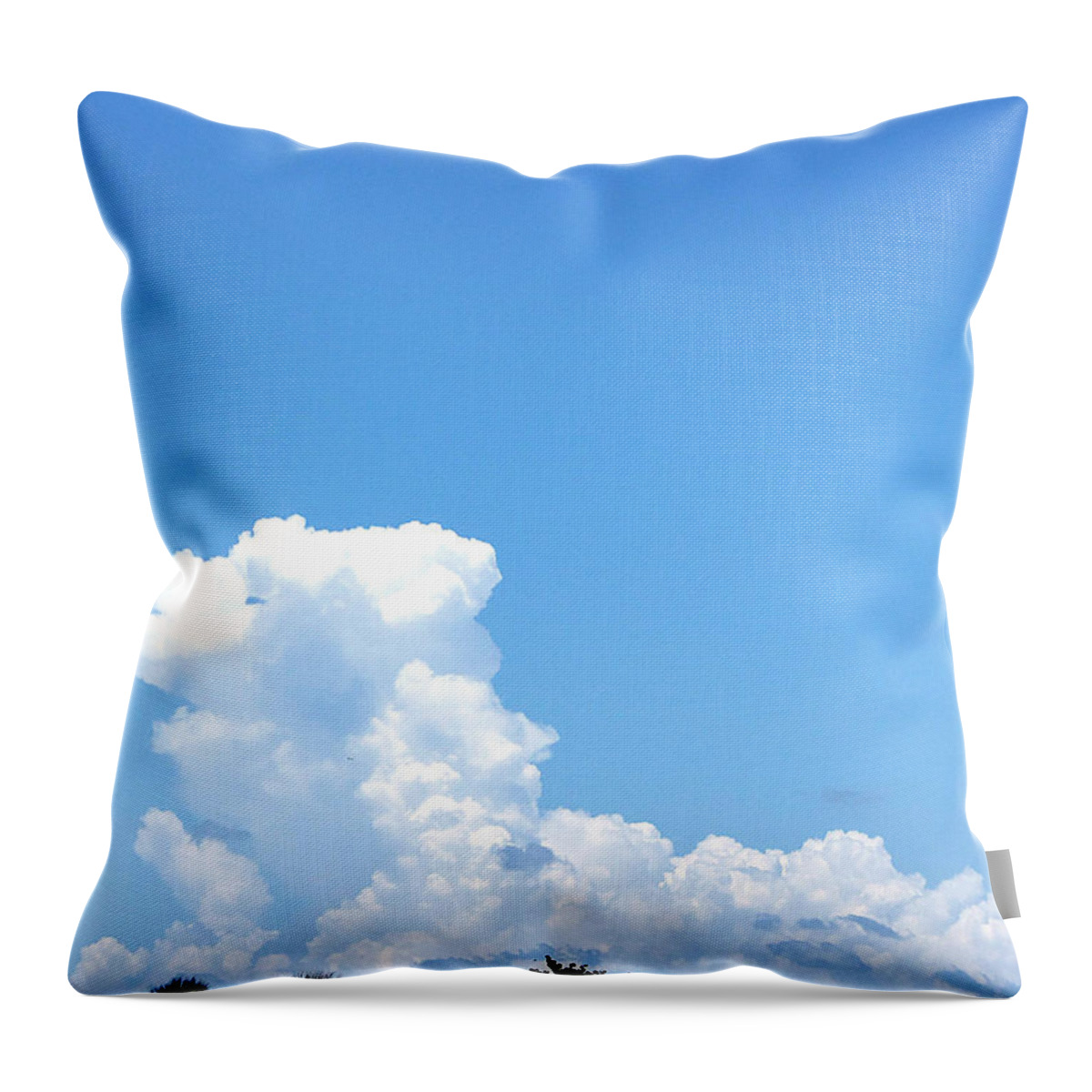 Landscape Throw Pillow featuring the photograph Clouds at Honeymoon Island 001 by Christopher Mercer