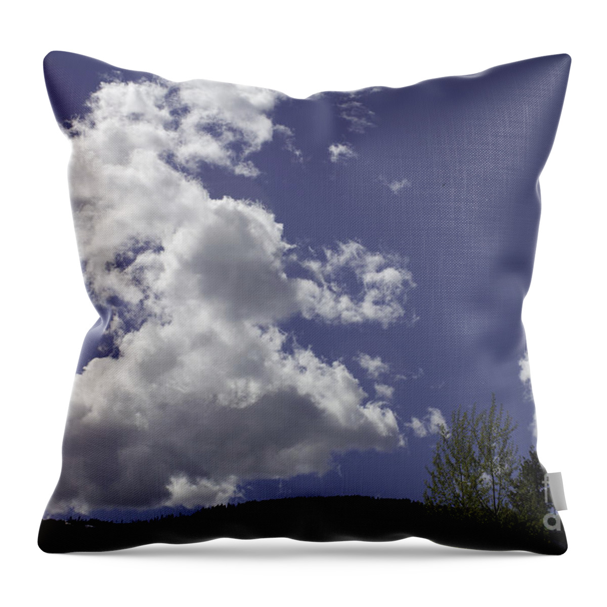 Salmon Arm Throw Pillow featuring the photograph Clouds Beckoning by Donna L Munro