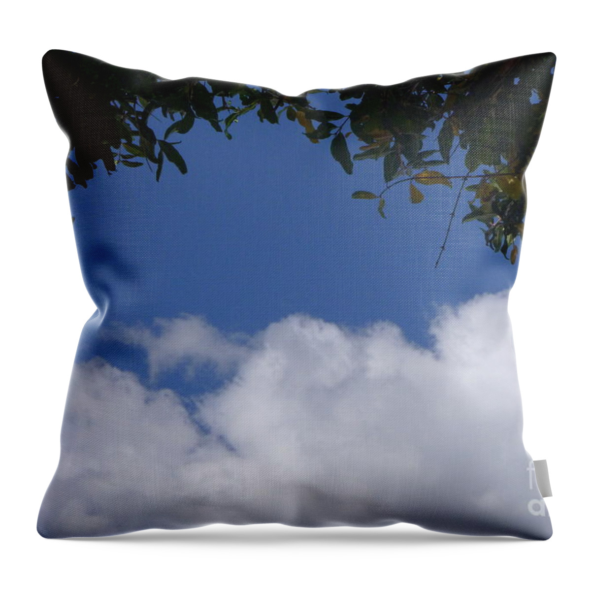 Clouds Throw Pillow featuring the photograph Clouds Framed by Tree by Nora Boghossian