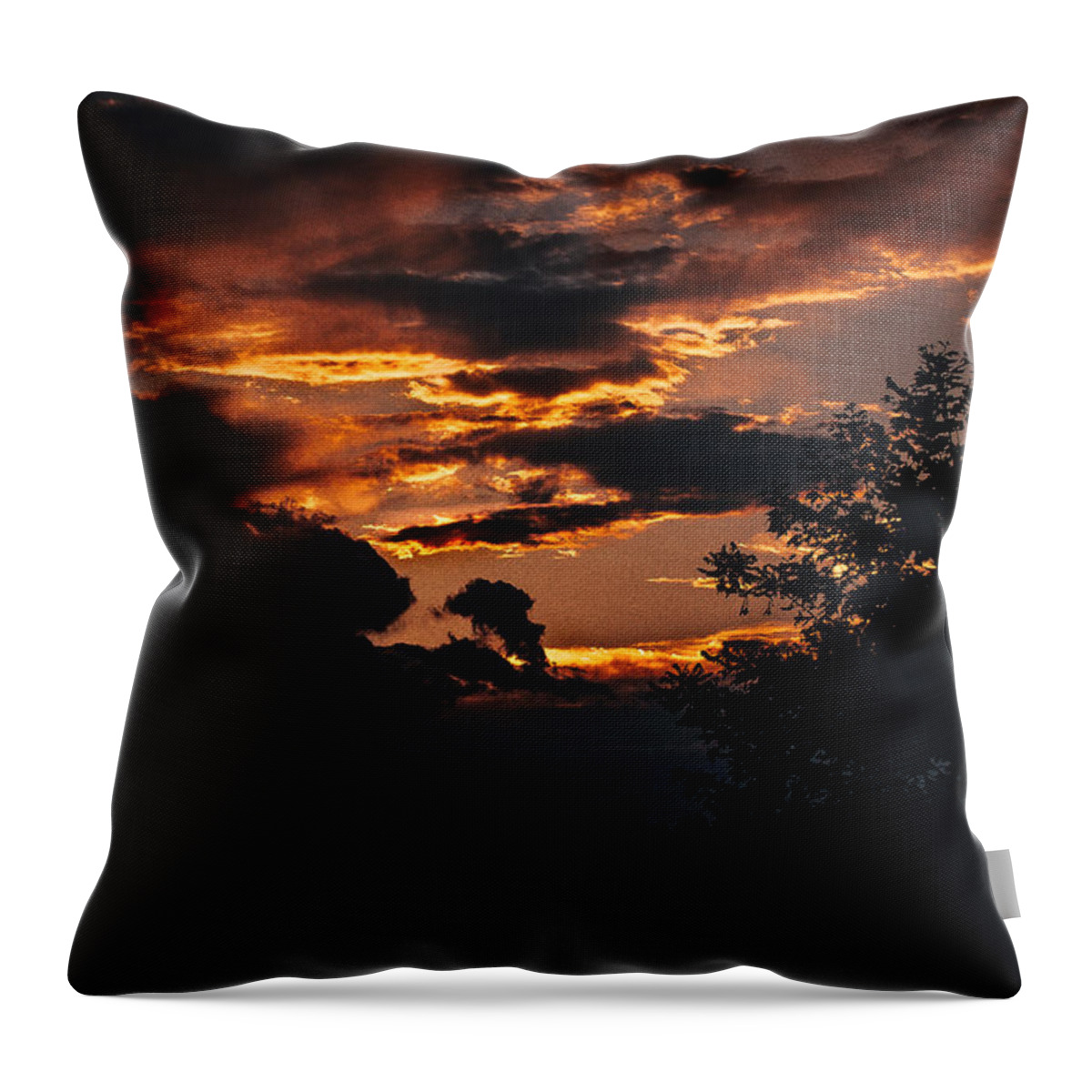  Throw Pillow featuring the photograph Clouds by Manuel Parini