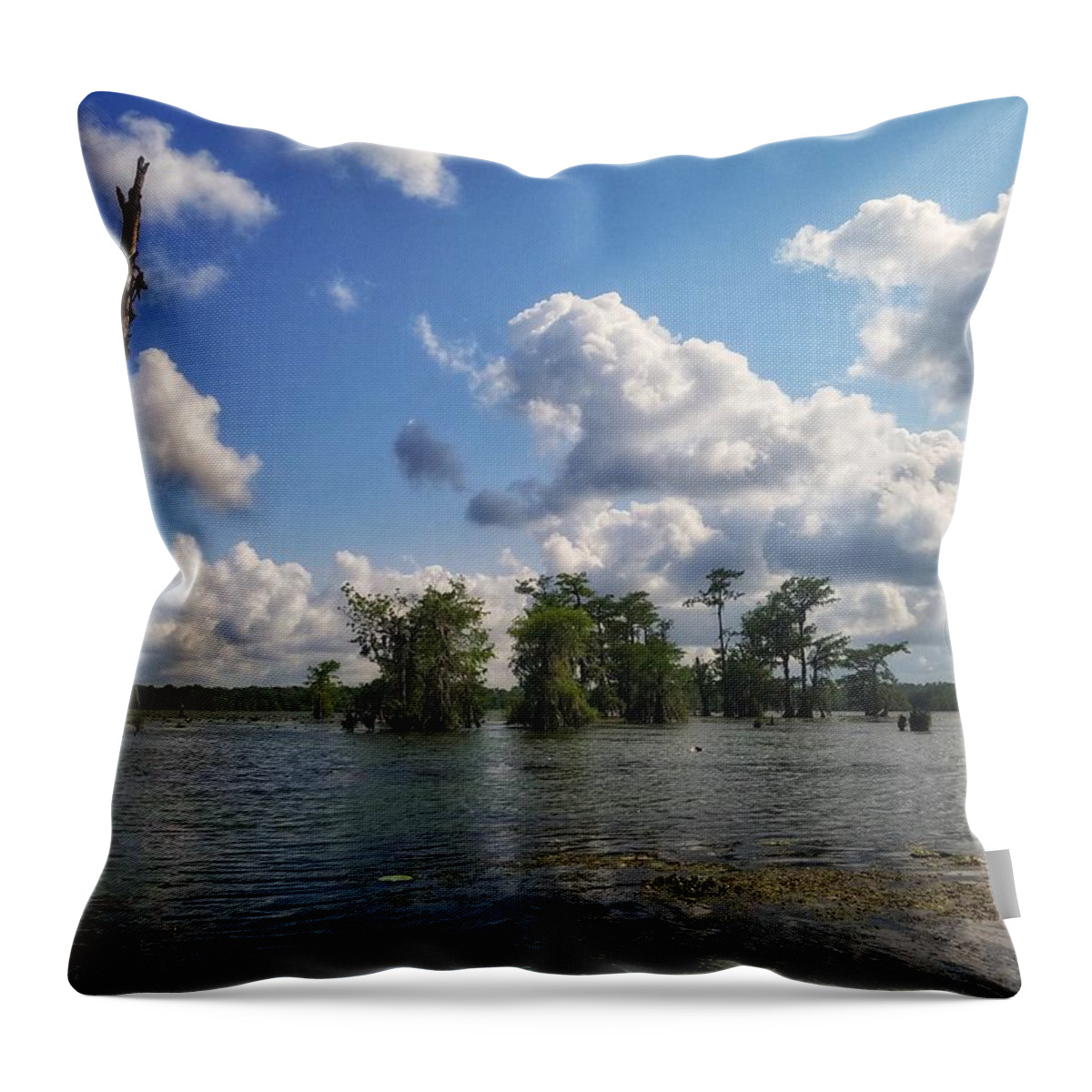 Clouds Throw Pillow featuring the photograph Clouds over the Louisiana bayou by Mary Capriole