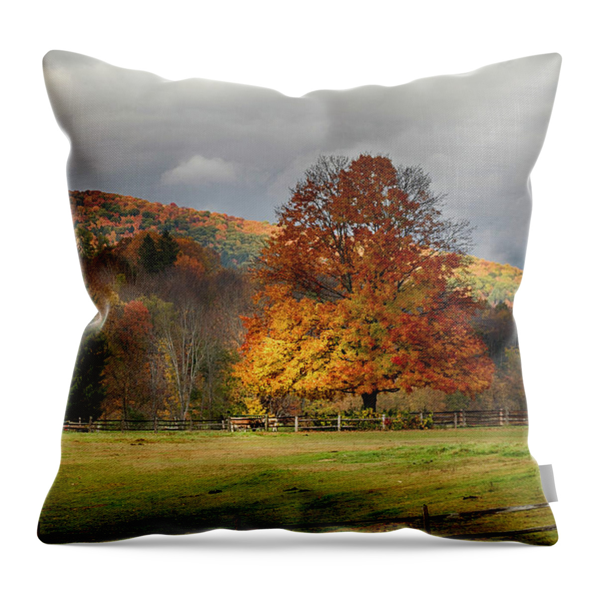 Vermont Fall Foliage Throw Pillow featuring the photograph Clouds part over Marsh Billings-Rockefeller NHP by Jeff Folger