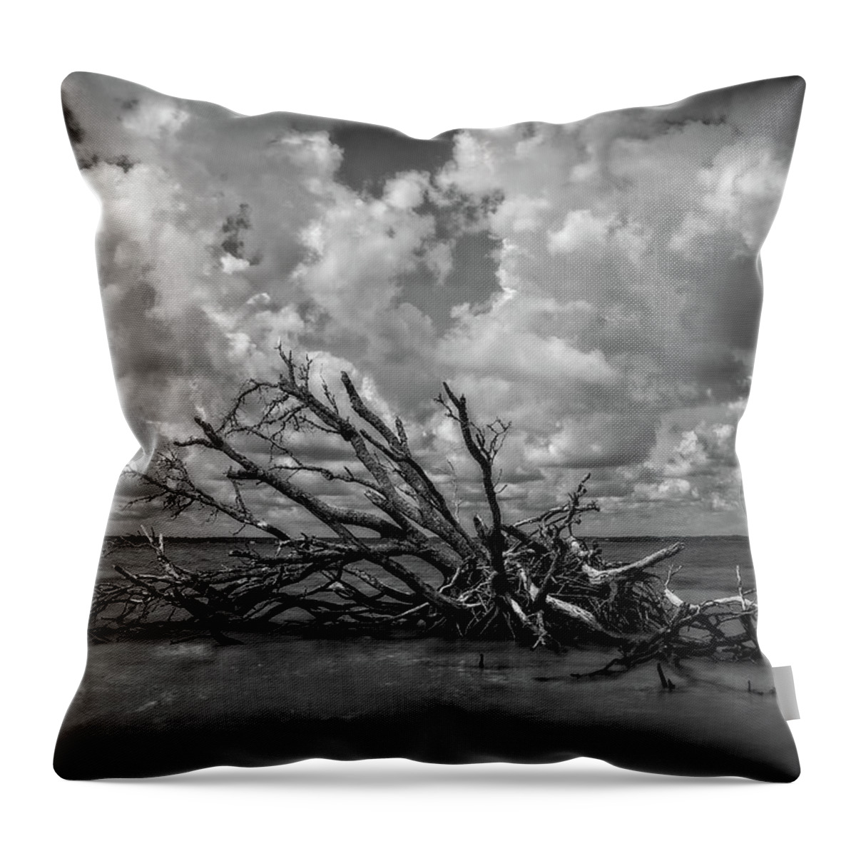 Driftwood Throw Pillow featuring the photograph Clouds Trees Water by Alan Raasch