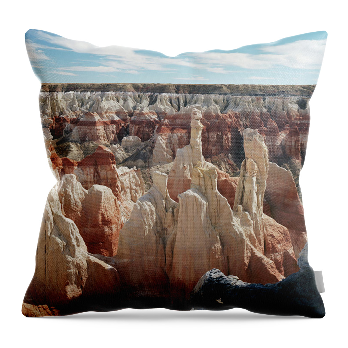 Tom Daniel Throw Pillow featuring the photograph Coal Mine Canyon #3 by Tom Daniel