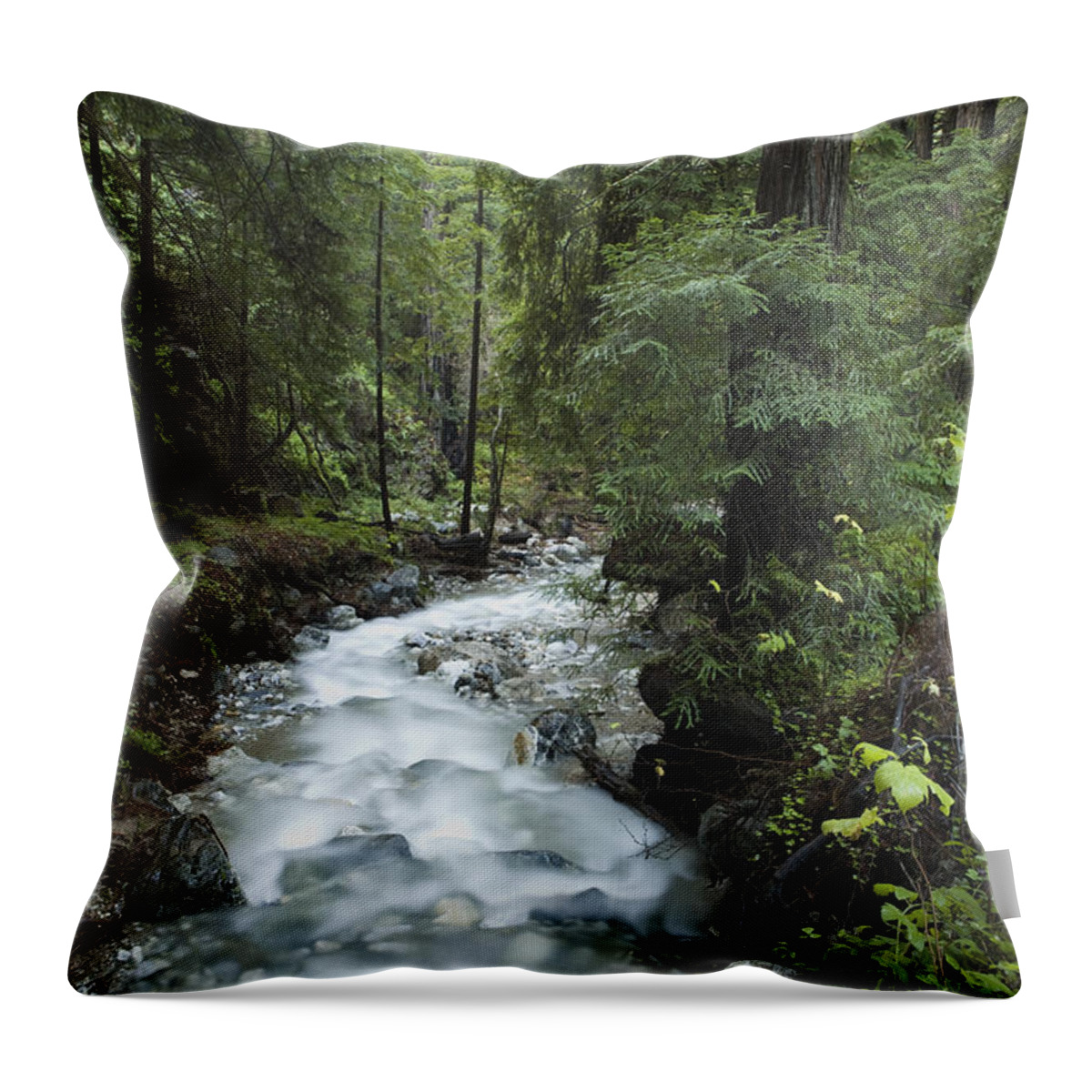 00442988 Throw Pillow featuring the photograph Coast Redwood Forest Big Sur California by Sebastian Kennerknecht