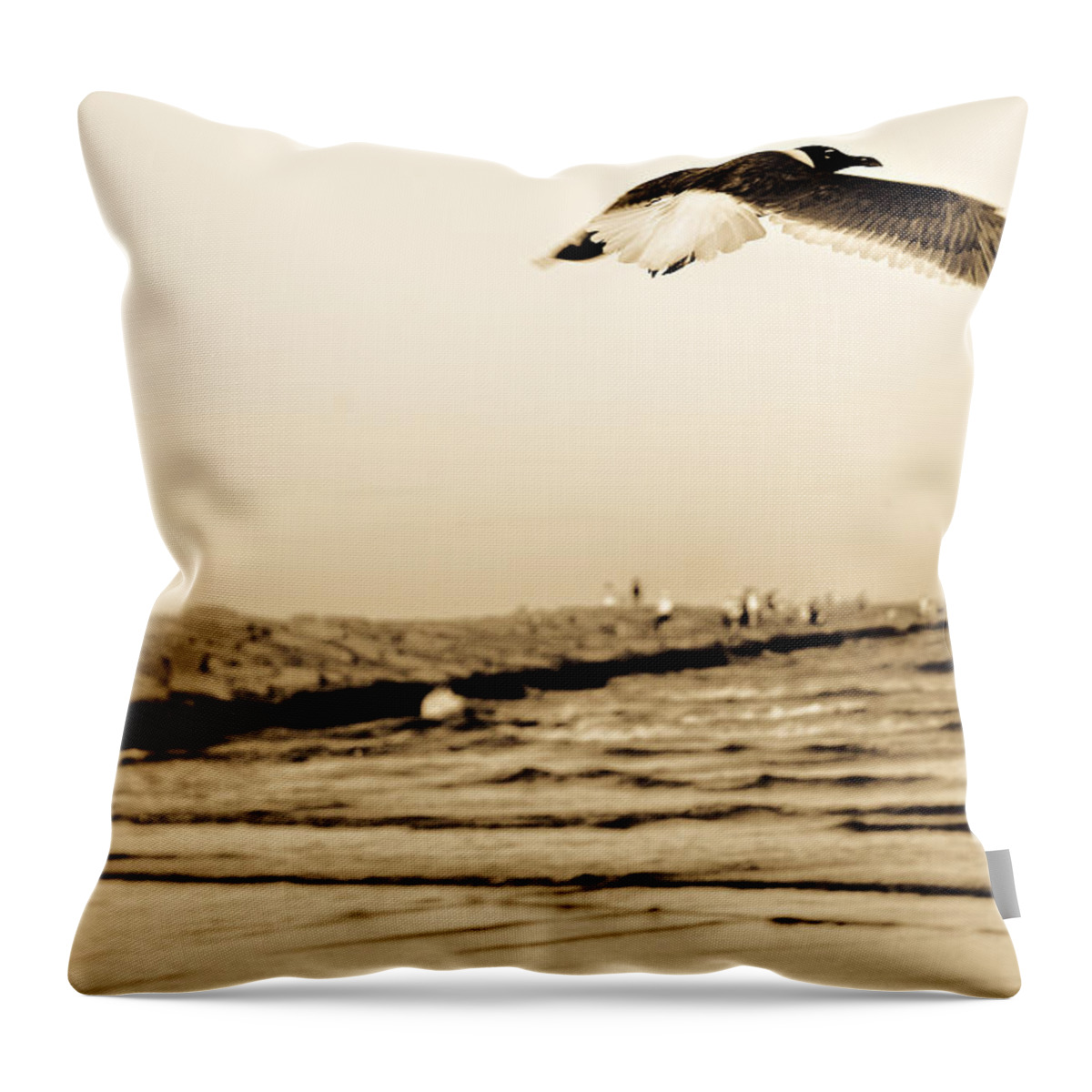 Bird Throw Pillow featuring the photograph Coastal Bird in Flight by Marilyn Hunt