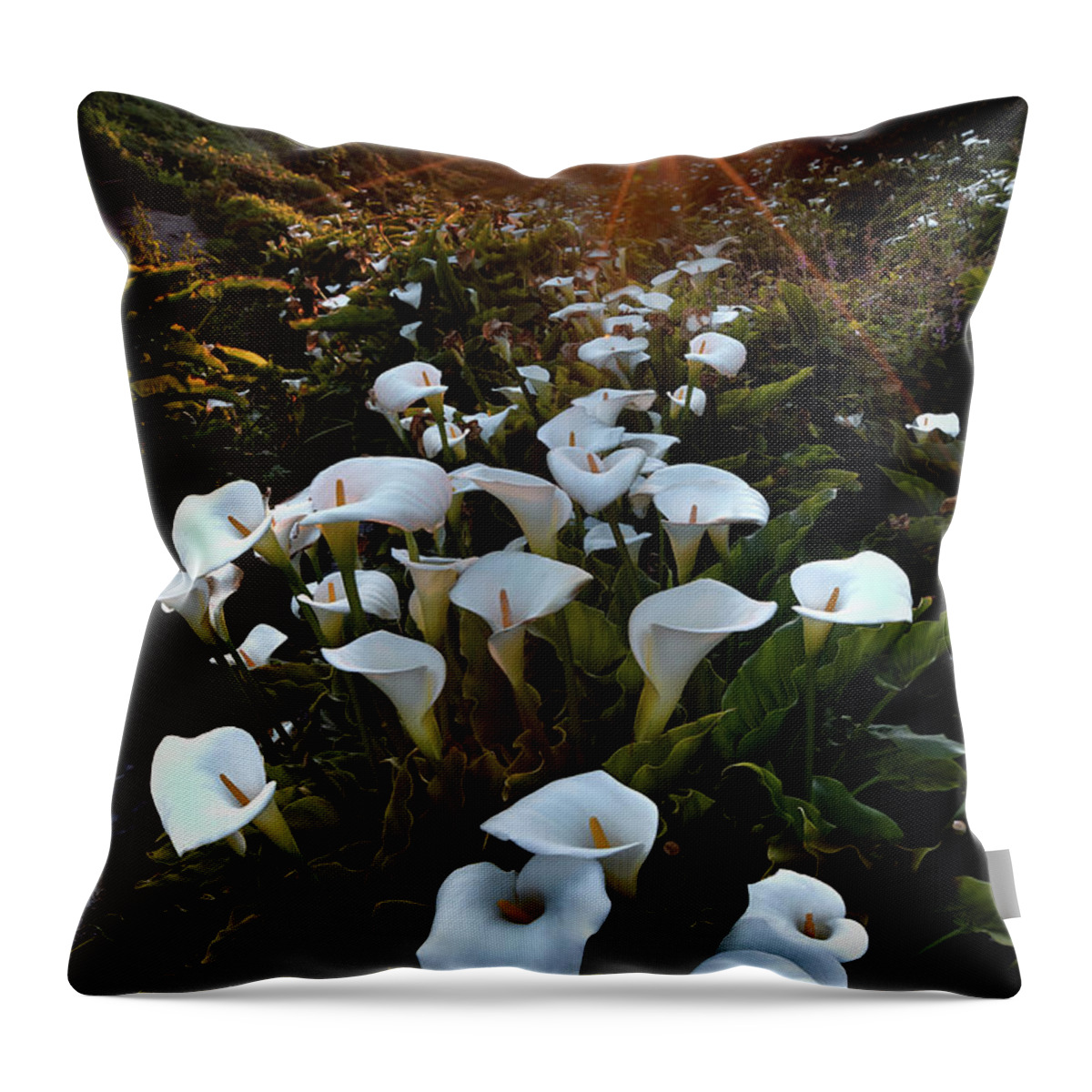 Big Sur Throw Pillow featuring the photograph Coastal Calla Lilies by Ryan Smith