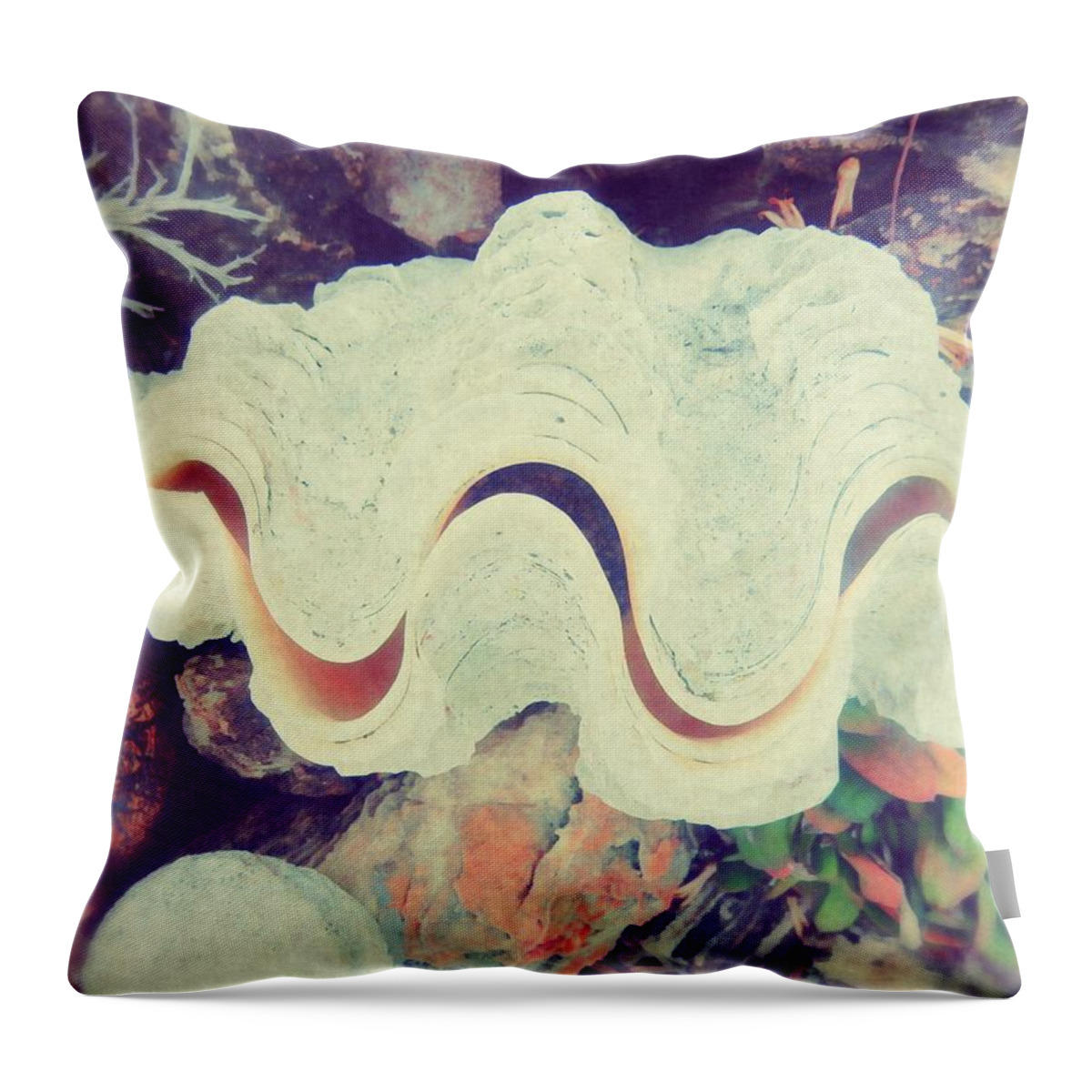 Giant Clam Throw Pillow featuring the photograph Coastal Clam by Karen Jbon Lee