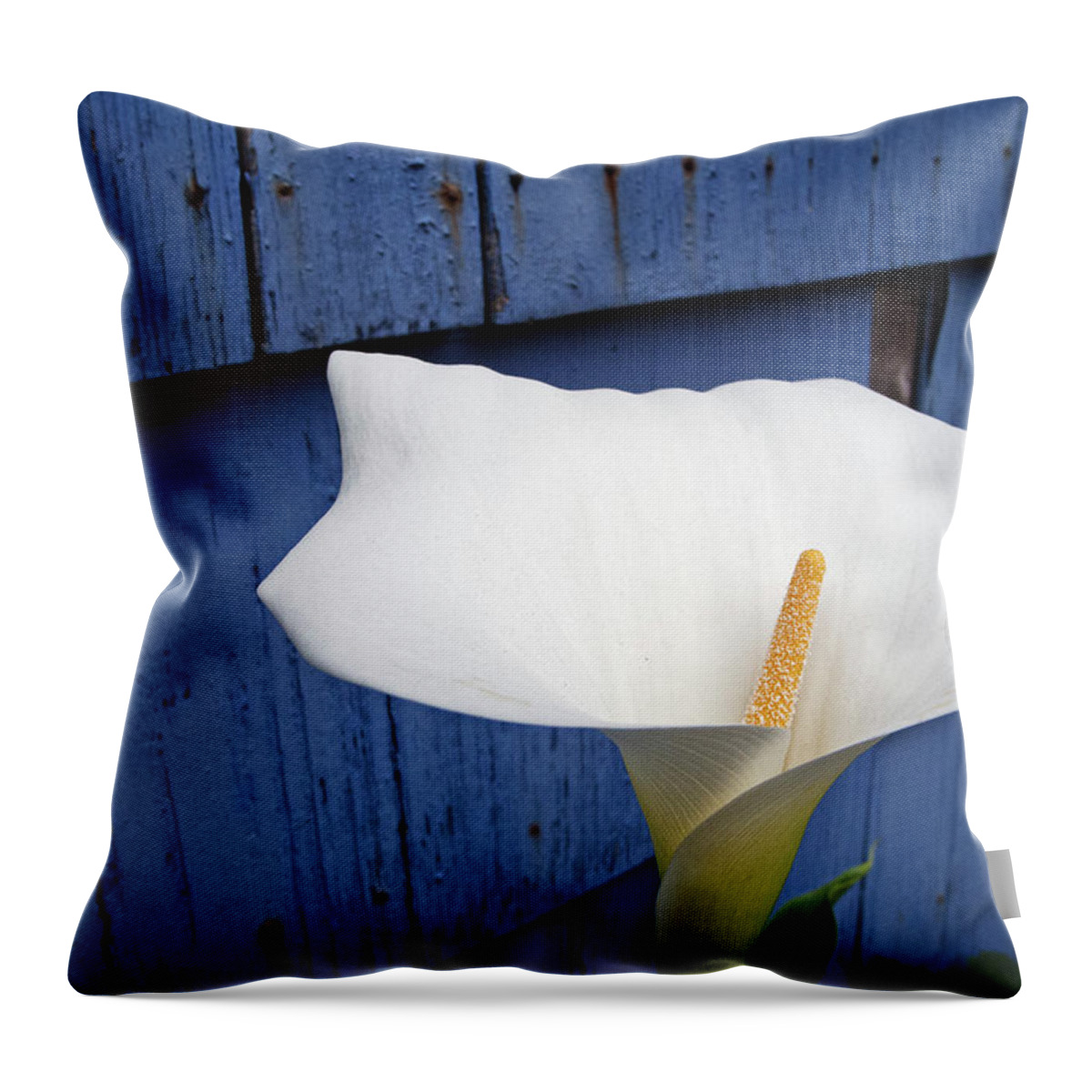 Coast Throw Pillow featuring the photograph Coastal Cow Lilley by Doug Davidson