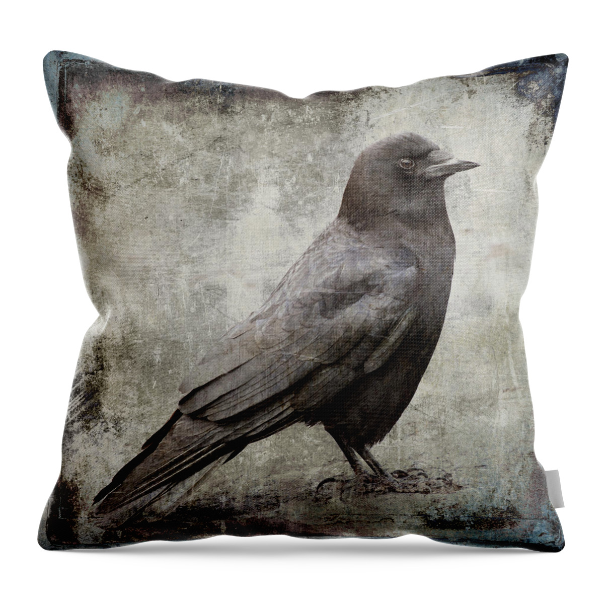 Crow Throw Pillow featuring the photograph Coastal Crow by Carol Leigh