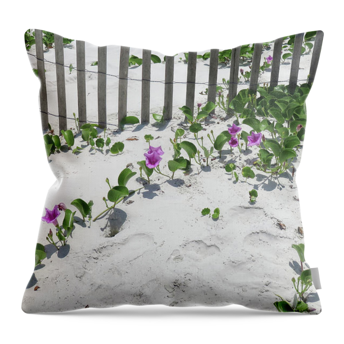 Sand Throw Pillow featuring the photograph Coastal Flowers by Dorothy Cunningham