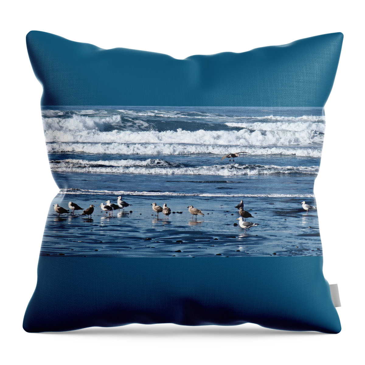 Coast Throw Pillow featuring the photograph Coastal Fly-in by Nick Kloepping