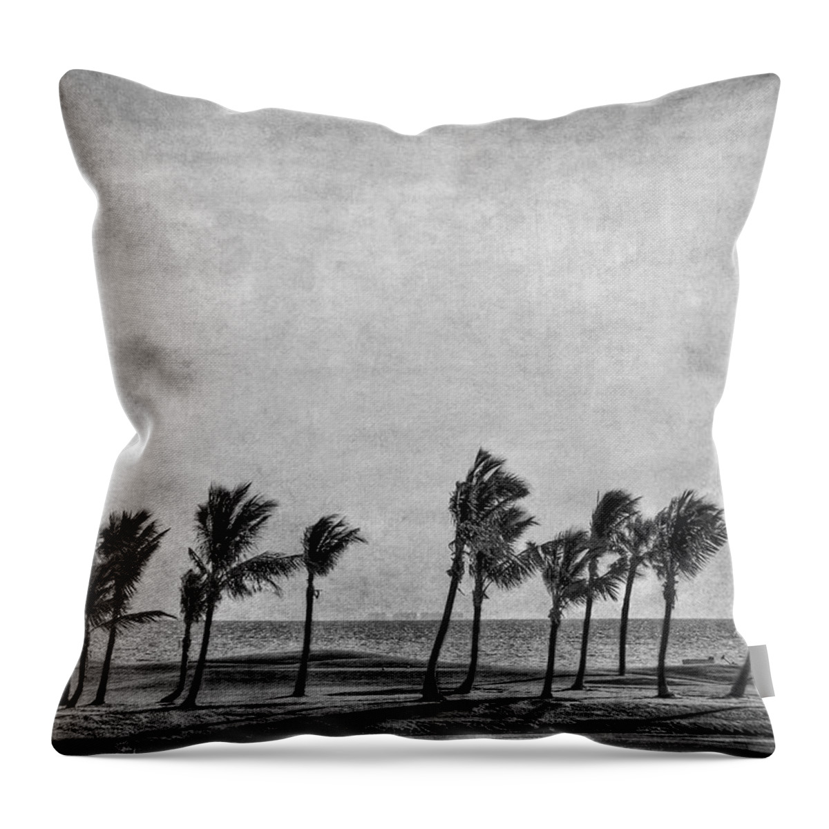 Palm Throw Pillow featuring the photograph Coastal Winds by Evelina Kremsdorf