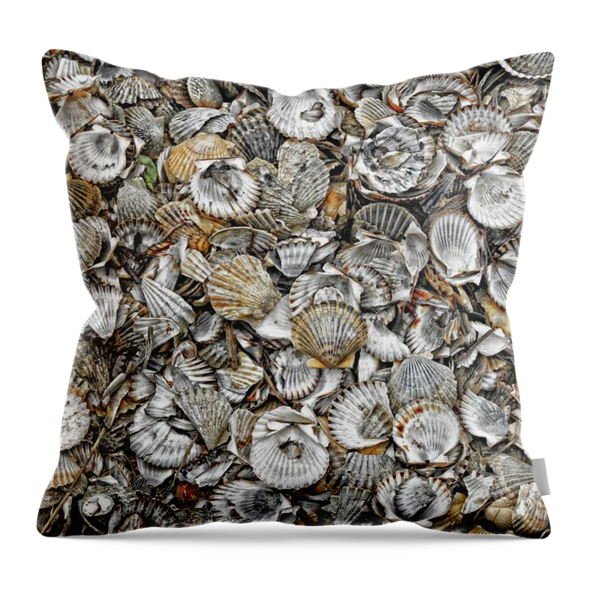 Cockleshells Throw Pillow featuring the photograph Cockleshells 1 by David Birchall