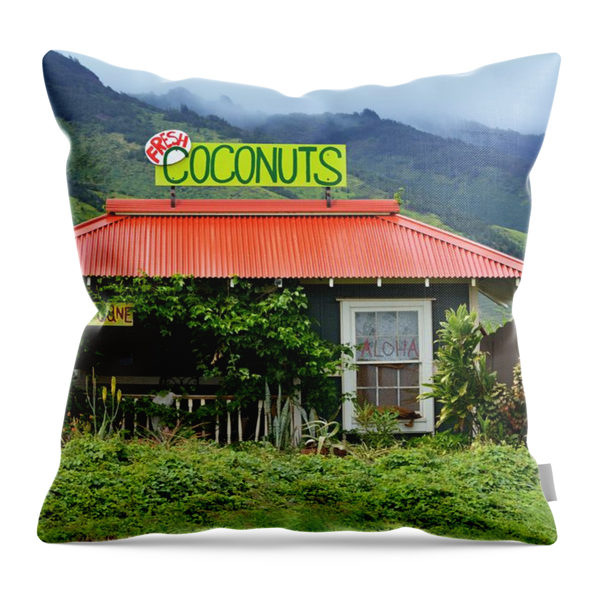 Landscape Throw Pillow featuring the photograph Coconut Hut by Carolyn Mickulas