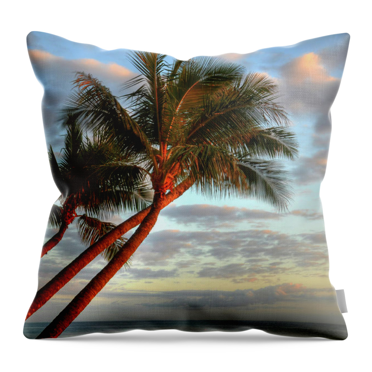 Coconut Palms Throw Pillow featuring the photograph Coconut Palms by Kelly Wade