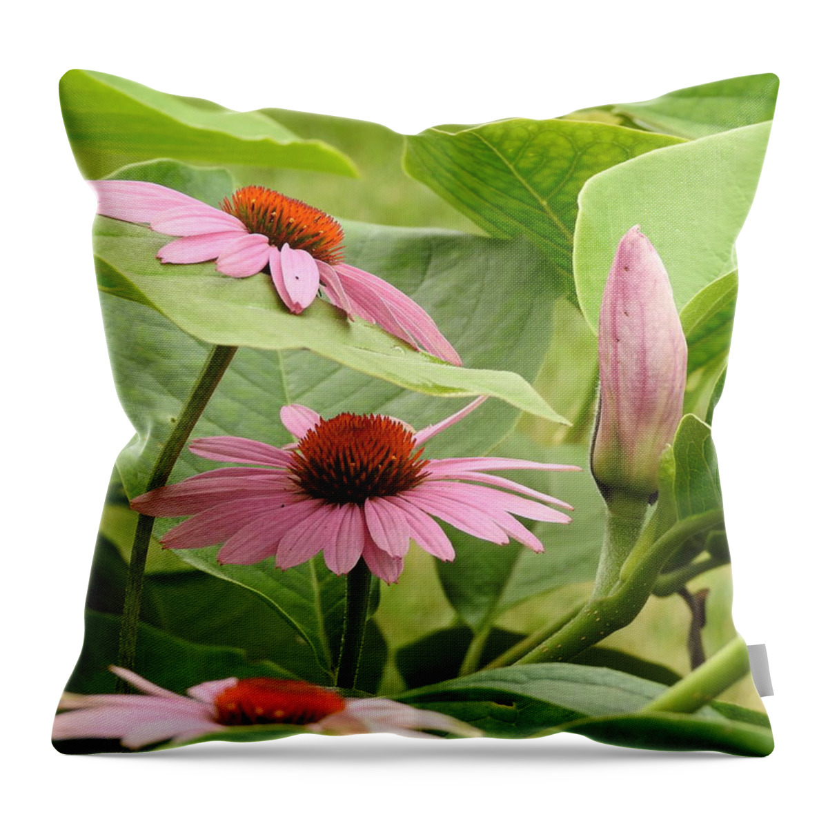Flowers Throw Pillow featuring the photograph CoExisting by Betty-Anne McDonald