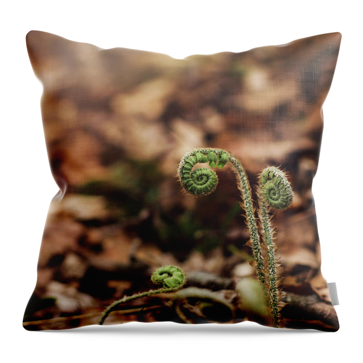 Fern Throw Pillow featuring the photograph Coiled Fern Among Leaves on Forest Floor by Amber Flowers
