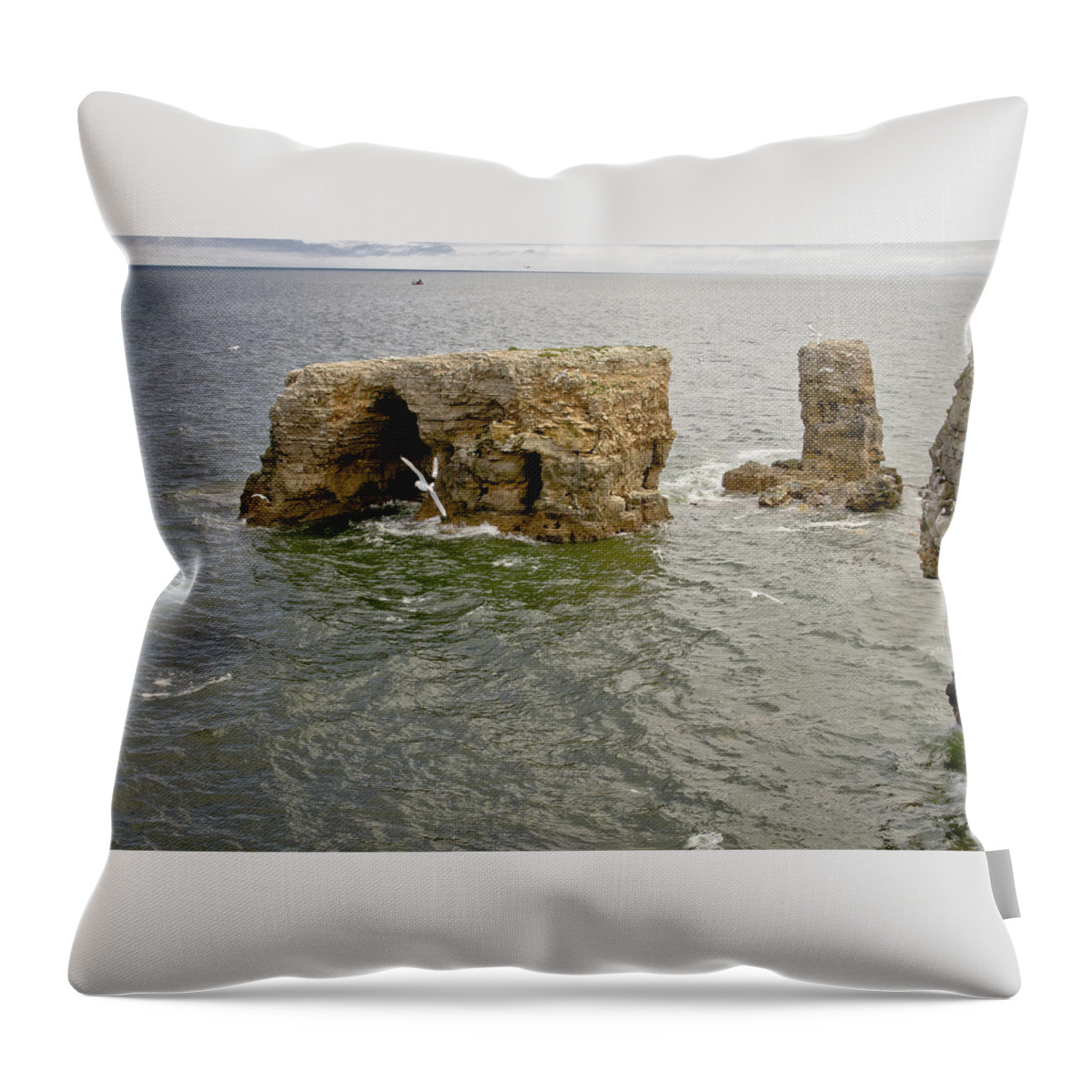Cold Throw Pillow featuring the photograph Cold day at the seaside. by Elena Perelman