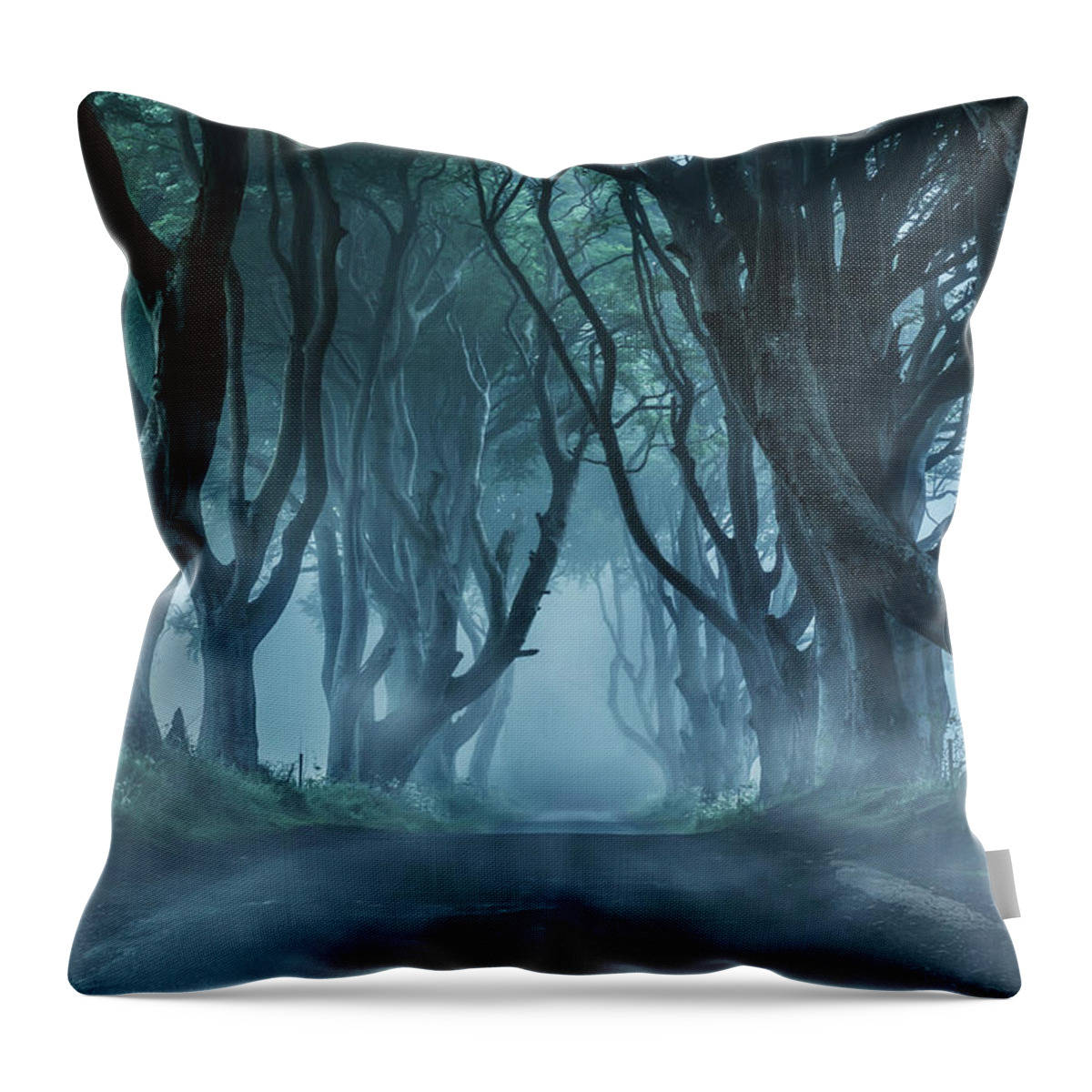 Dark Hedges In Northern Ireland Throw Pillow featuring the photograph Cold morning in northern Ireland by Jaroslaw Blaminsky