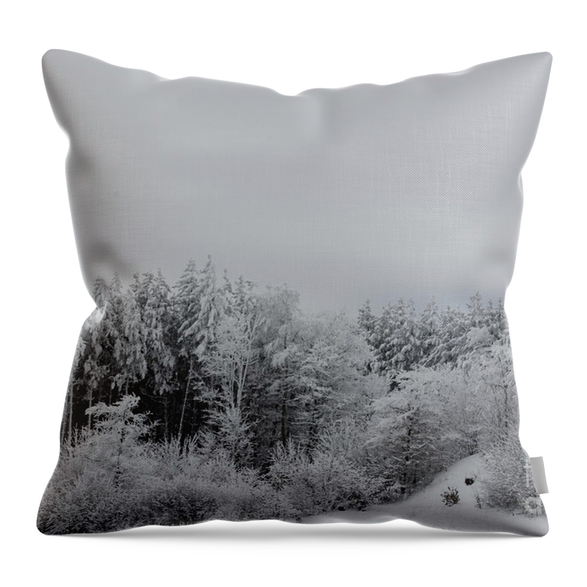 Snow Throw Pillow featuring the photograph Cold Mountain by Randy Bodkins