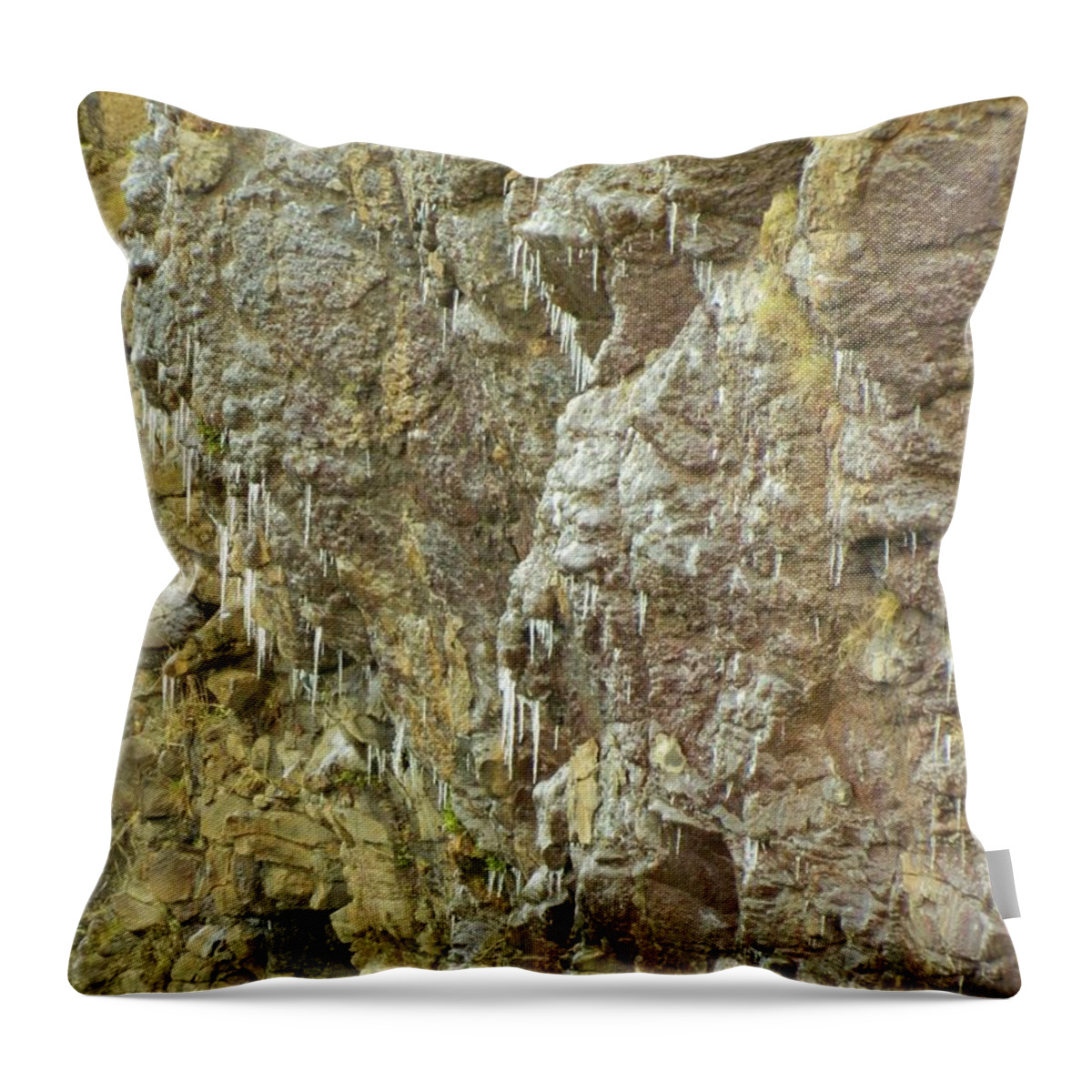 Oregon Throw Pillow featuring the photograph Cold Of Winter by Gallery Of Hope 