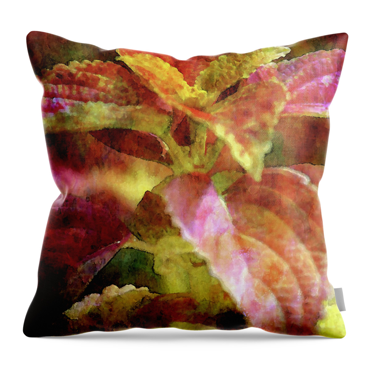 Coleus Throw Pillow featuring the photograph Coleus 3275 IDP_2 by Steven Ward
