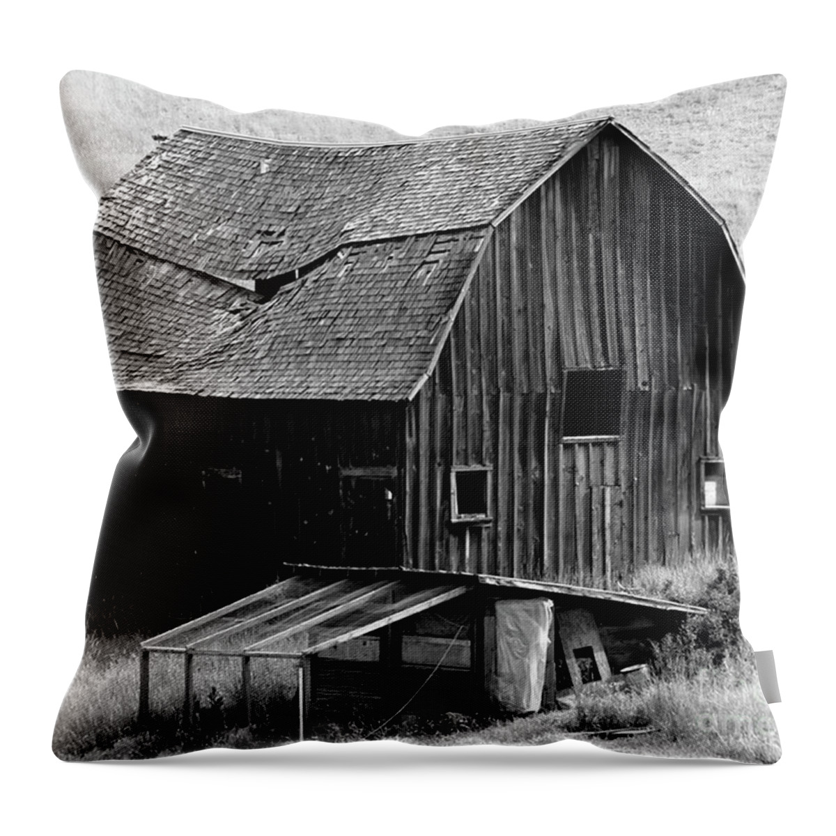 Denise Bruchman Throw Pillow featuring the photograph Collapsing by Denise Bruchman