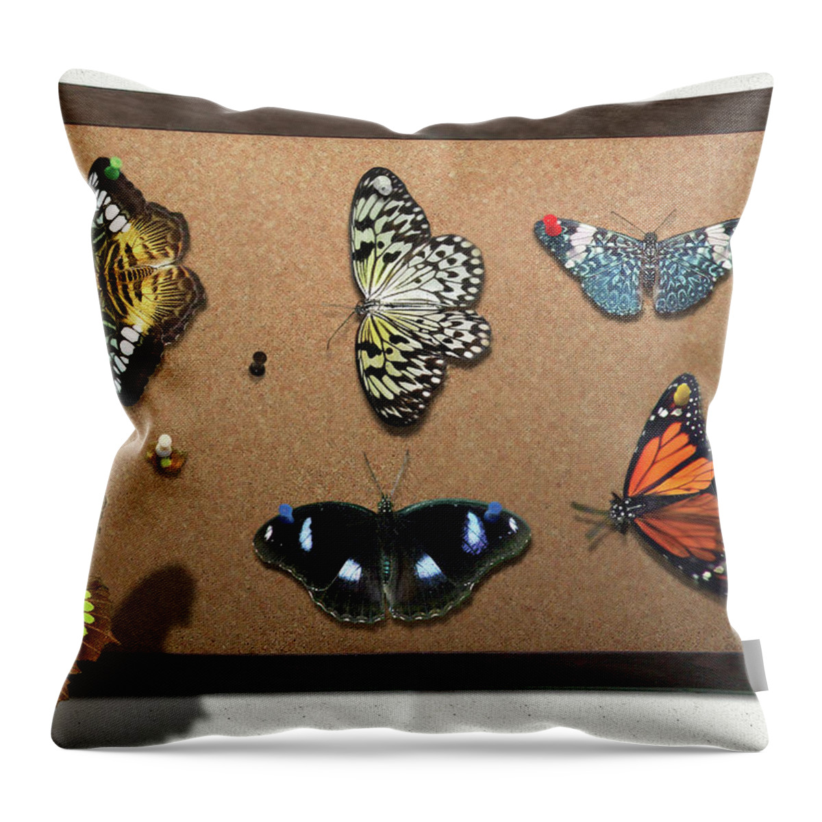 Lepidopterist Throw Pillow featuring the photograph Collector - Lepidopterist - My Butterfly Collection by Mike Savad