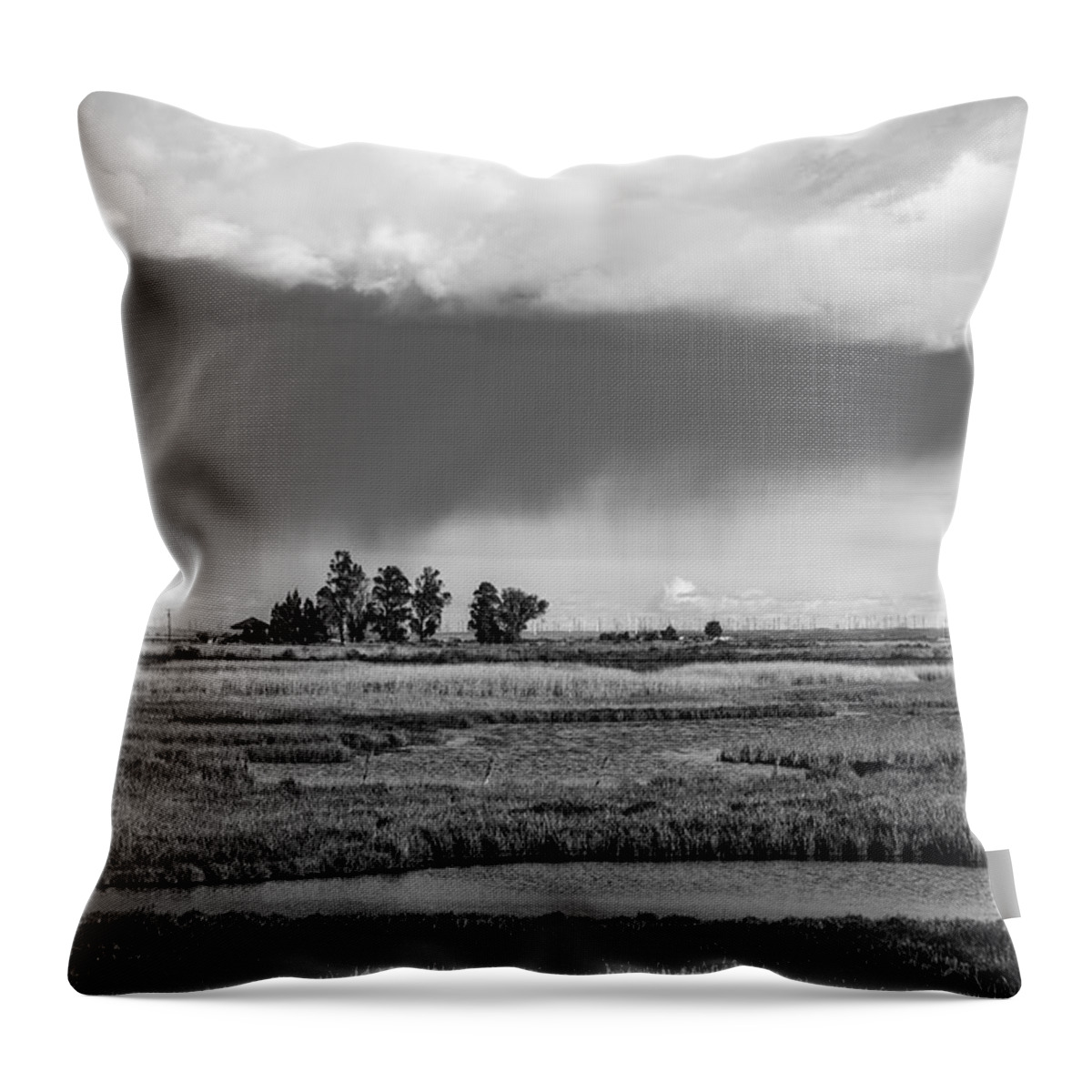 Landscape Throw Pillow featuring the photograph Colledia rainstorm B/W by Bruce Bottomley