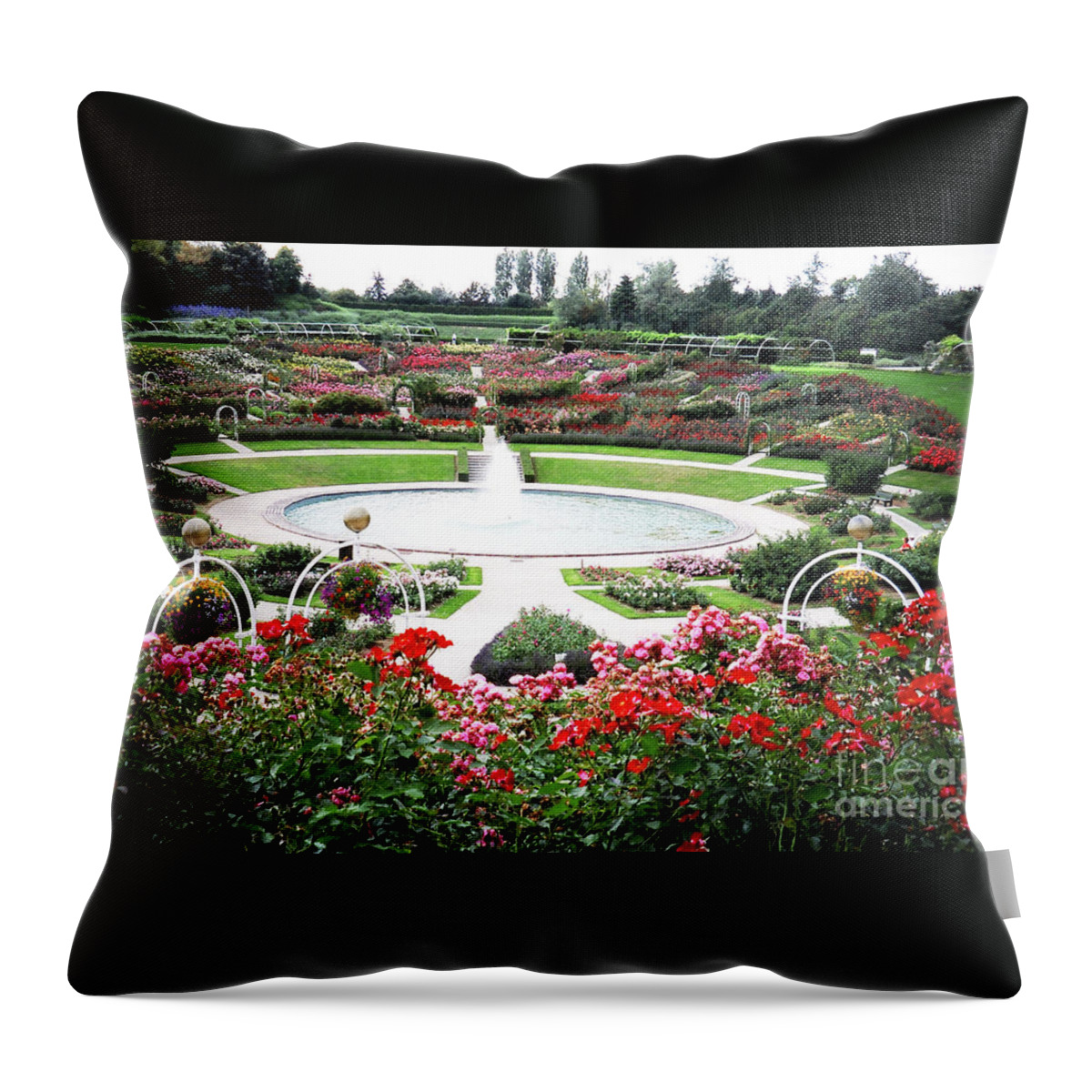Caen Throw Pillow featuring the photograph Colline des Oiseaux by Donna L Munro