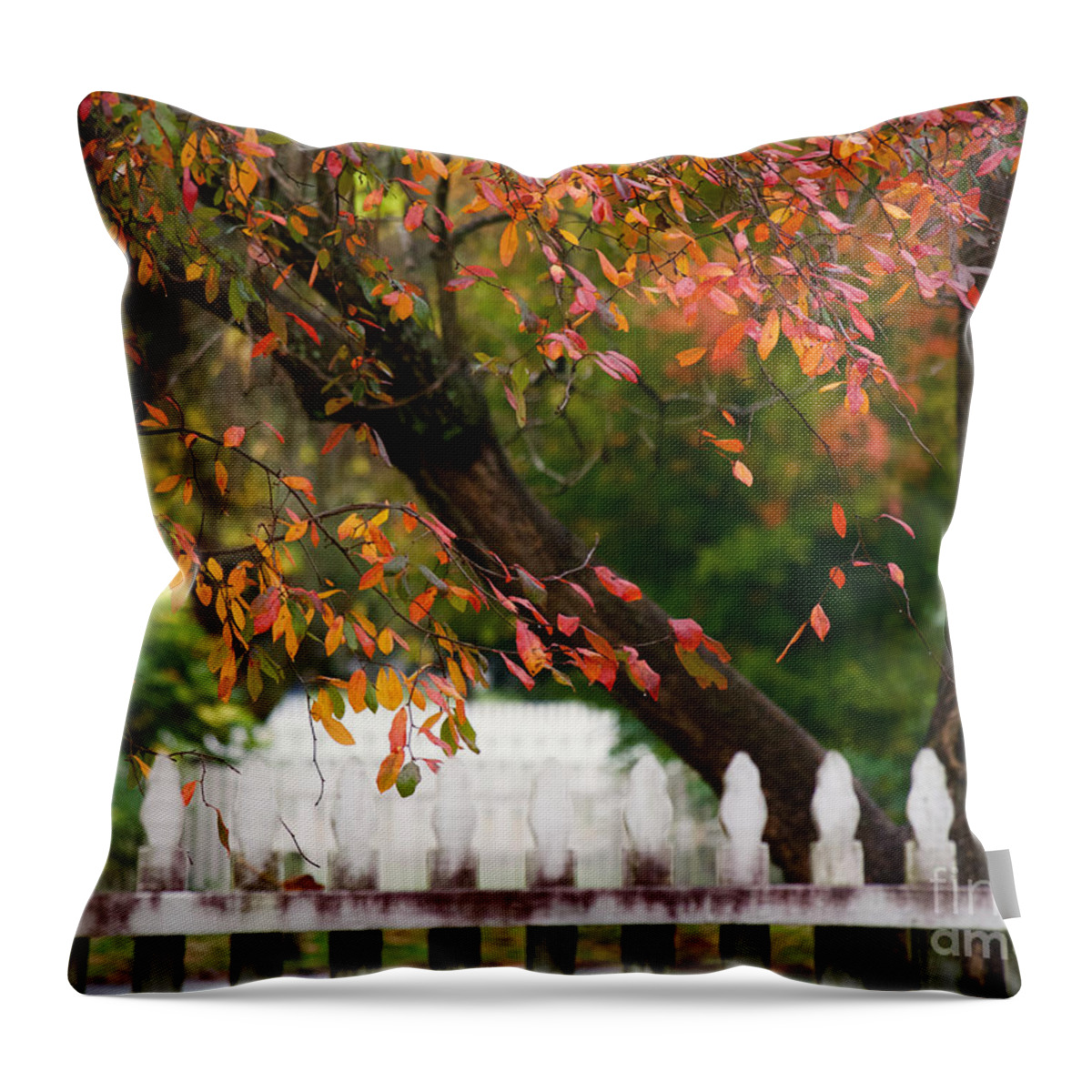 Colonial Williamsburg Throw Pillow featuring the photograph Colonial Fall Colors by Rachel Morrison