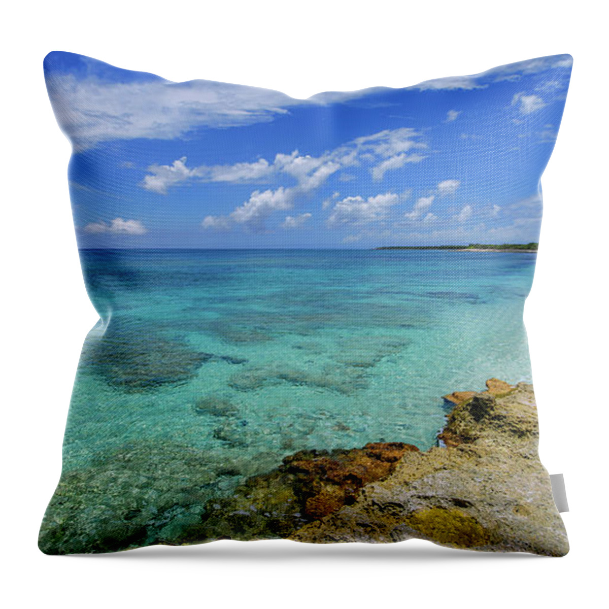 Chad Dutson Throw Pillow featuring the photograph Color and Texture by Chad Dutson