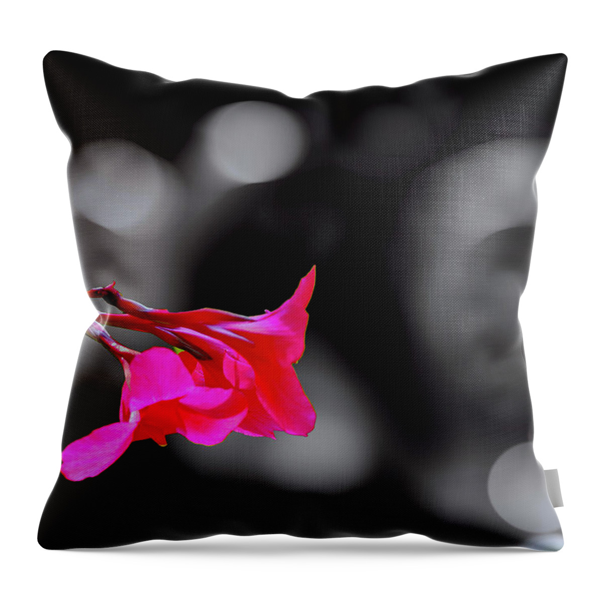 Flower Throw Pillow featuring the photograph Color by Fuchsia by Joseph Hollingsworth