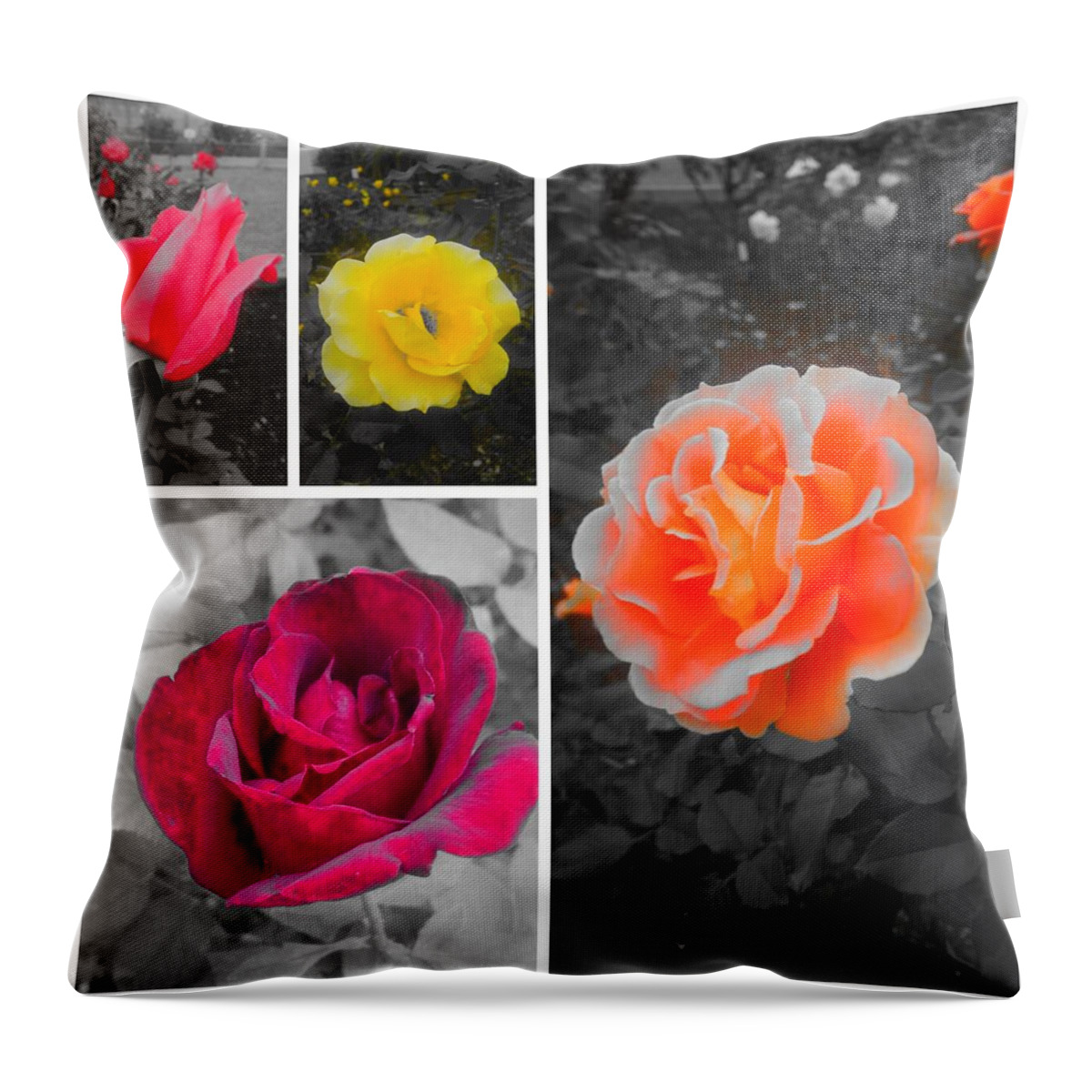 Color Throw Pillow featuring the photograph Color by Kumiko Izumi