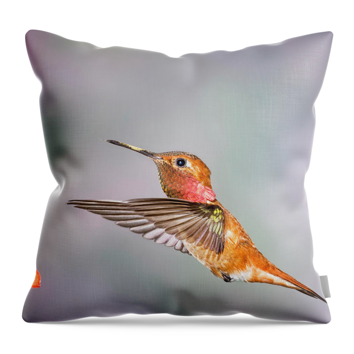Rufus Hummingbird Throw Pillow featuring the photograph Color of the Day by Peg Runyan