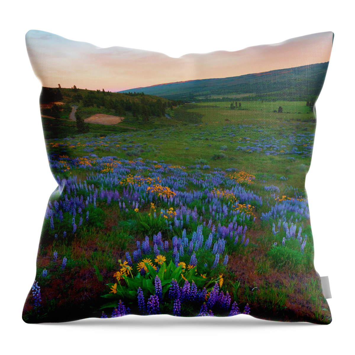 Wildflowers Throw Pillow featuring the photograph Color Path by Michael Dawson