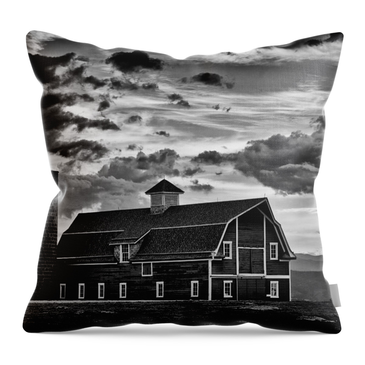 Black And White Throw Pillow featuring the photograph Colorado Barn Monochrome by Darren White