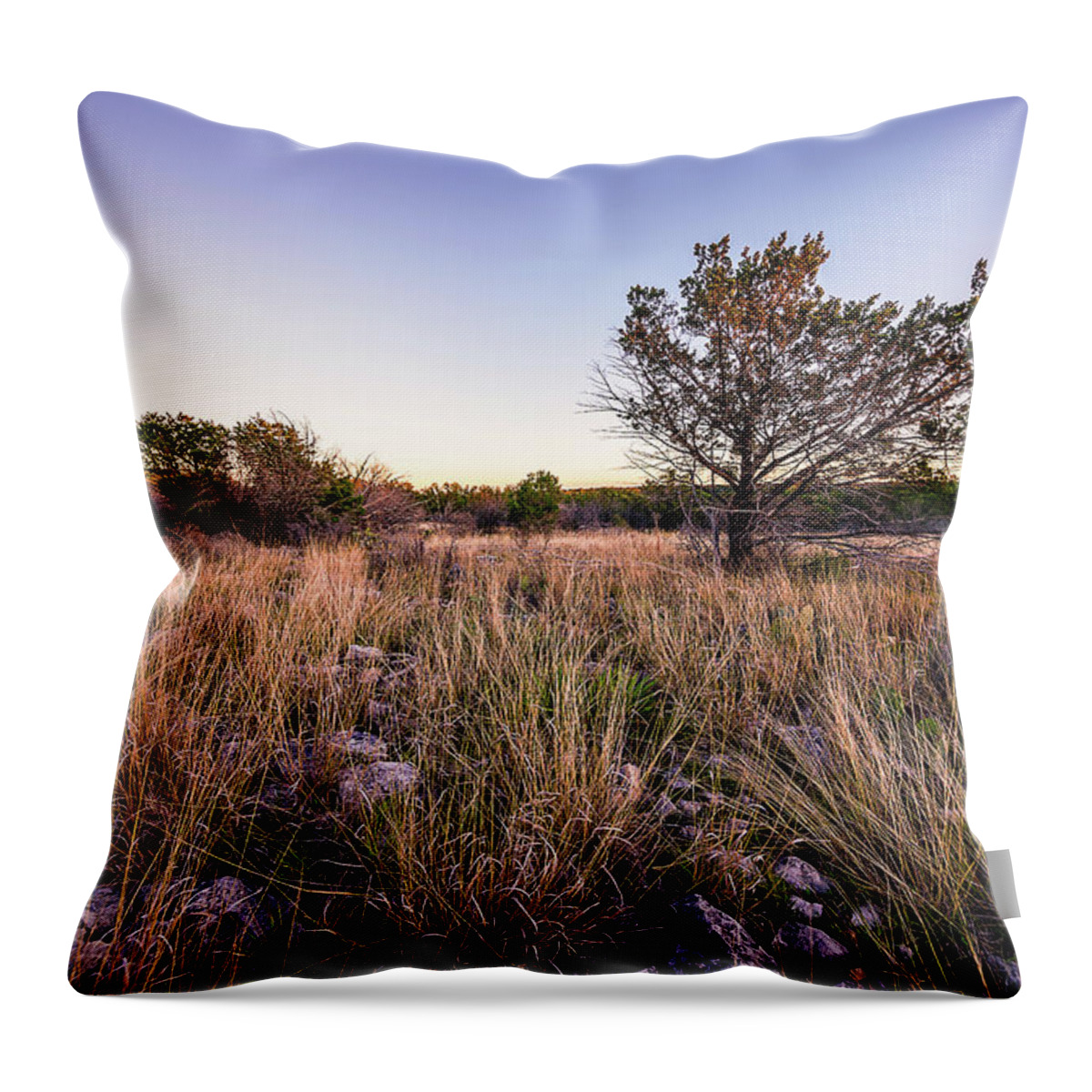 Colorado Throw Pillow featuring the photograph Colorado Bend State Park Gorman Falls Trail #2 by Micah Goff