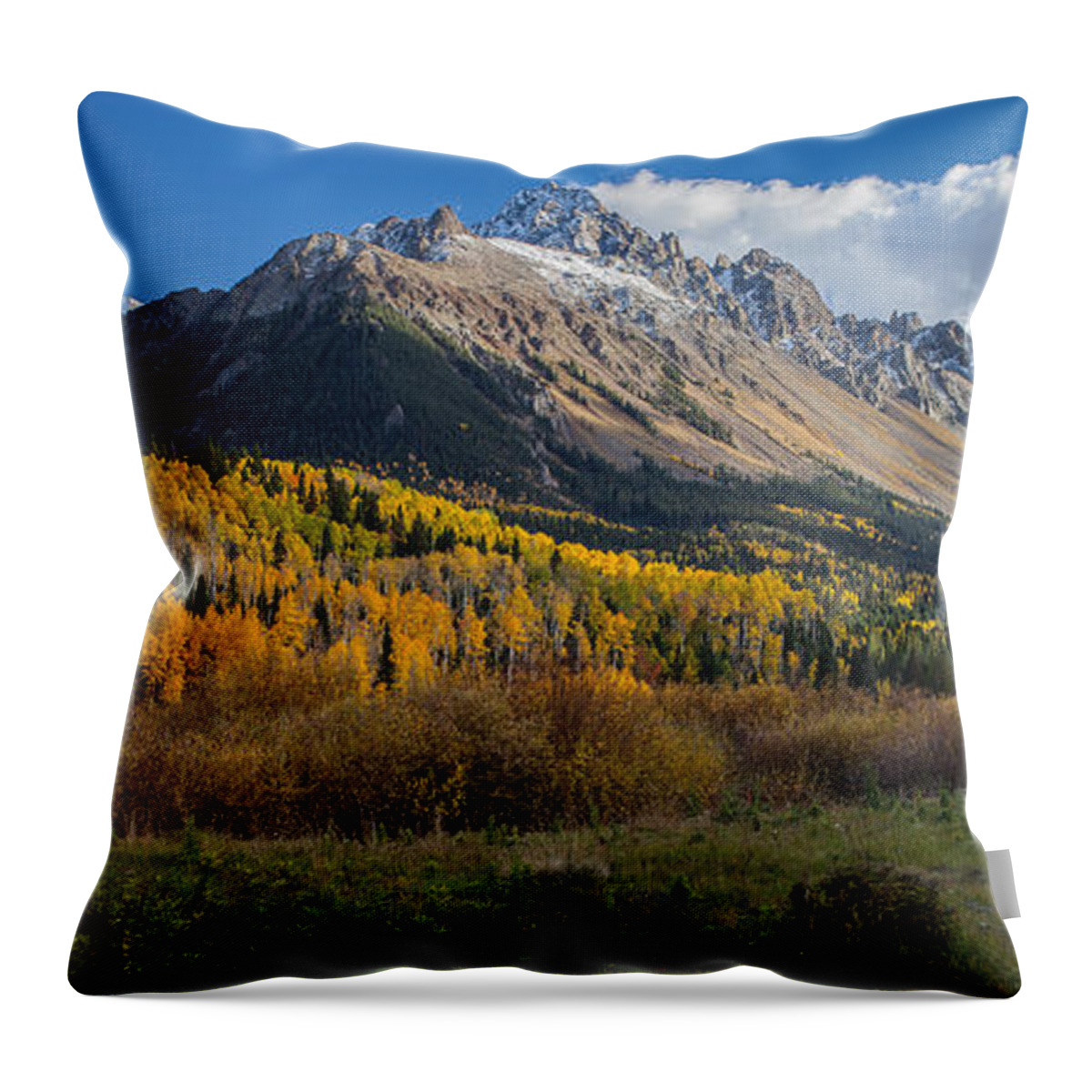 Nature Throw Pillow featuring the photograph Colorado Fall by Steven Reed