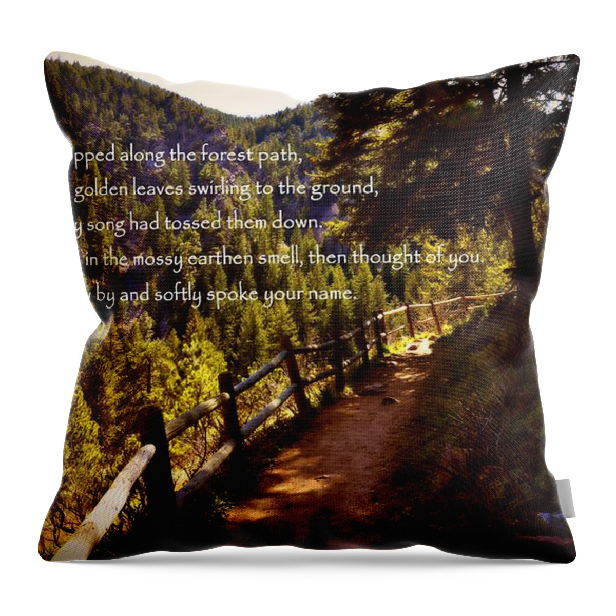Forest Landscape Throw Pillow featuring the photograph Colorado Forest Path by Marysue Ryan