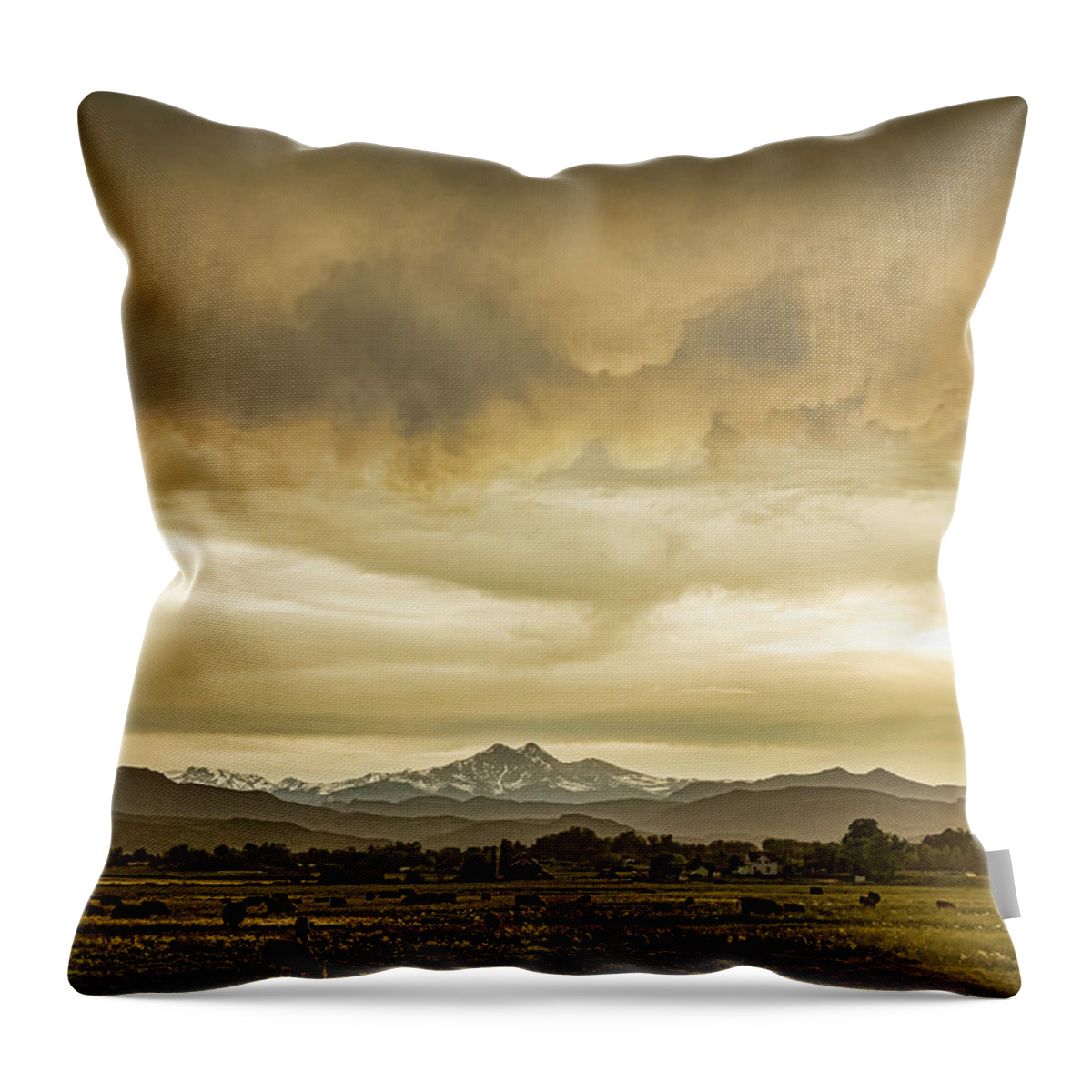 Severe Throw Pillow featuring the photograph Colorado Grazing by James BO Insogna