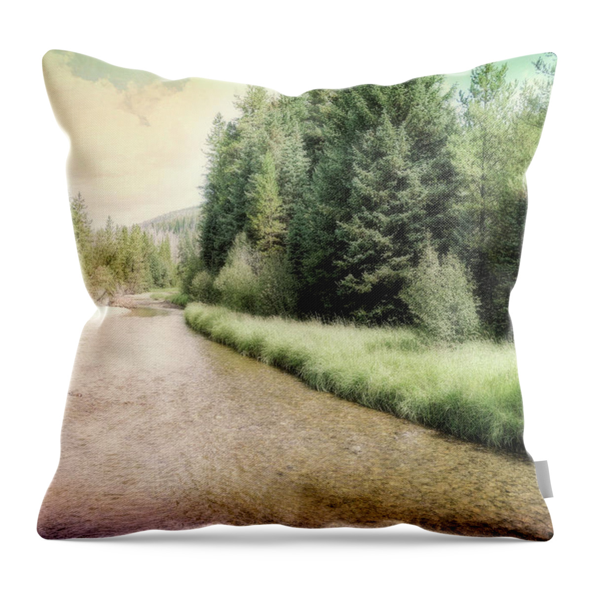 Colorado Throw Pillow featuring the photograph Colorado River photograph by Ann Powell