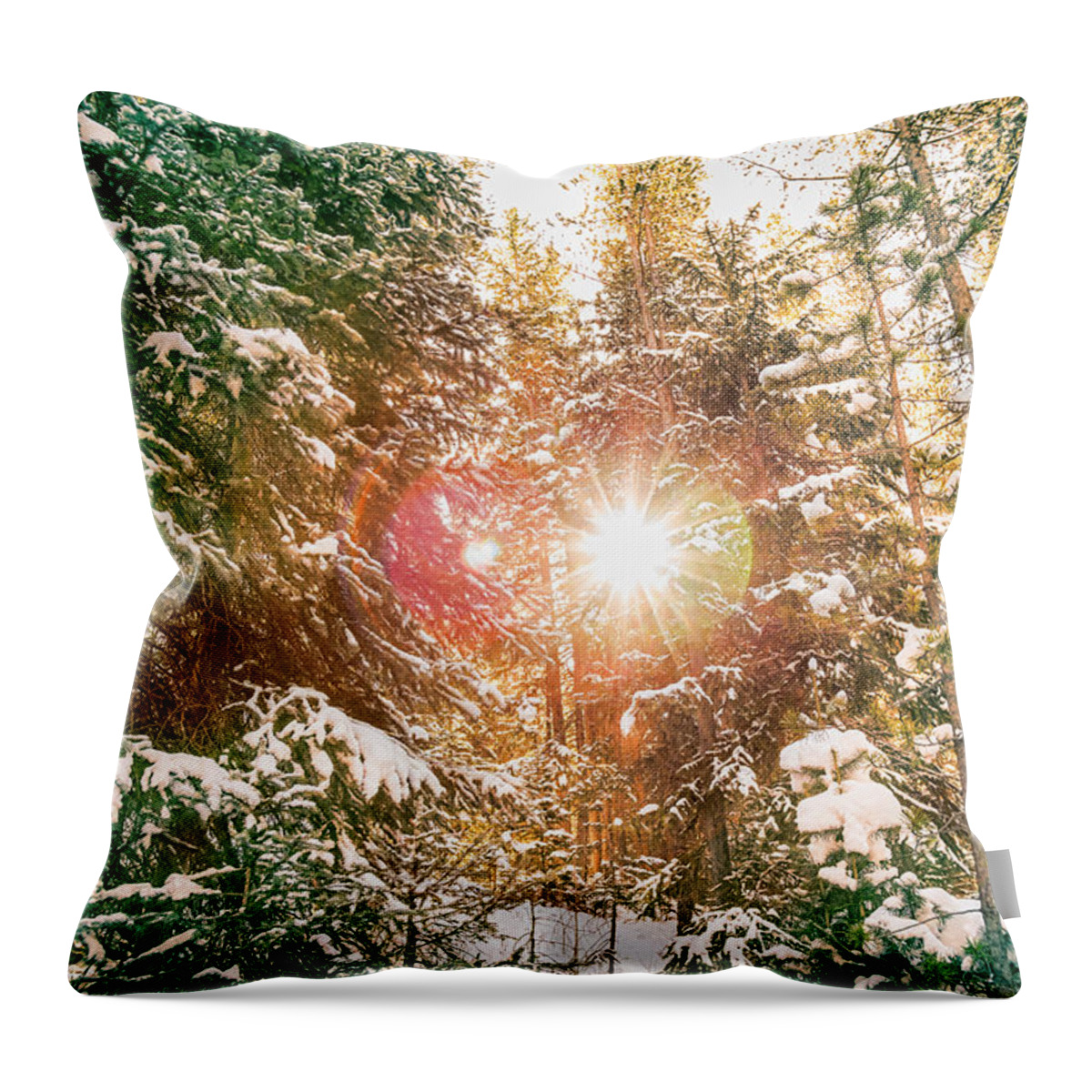 Winter Throw Pillow featuring the photograph Colorado Rocky Mountain Snow and Sunshine by James BO Insogna