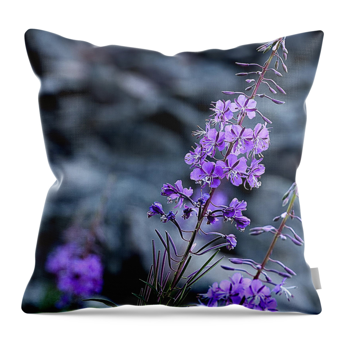 Flowers Throw Pillow featuring the photograph Colorado Wildflower by Barry C Donovan