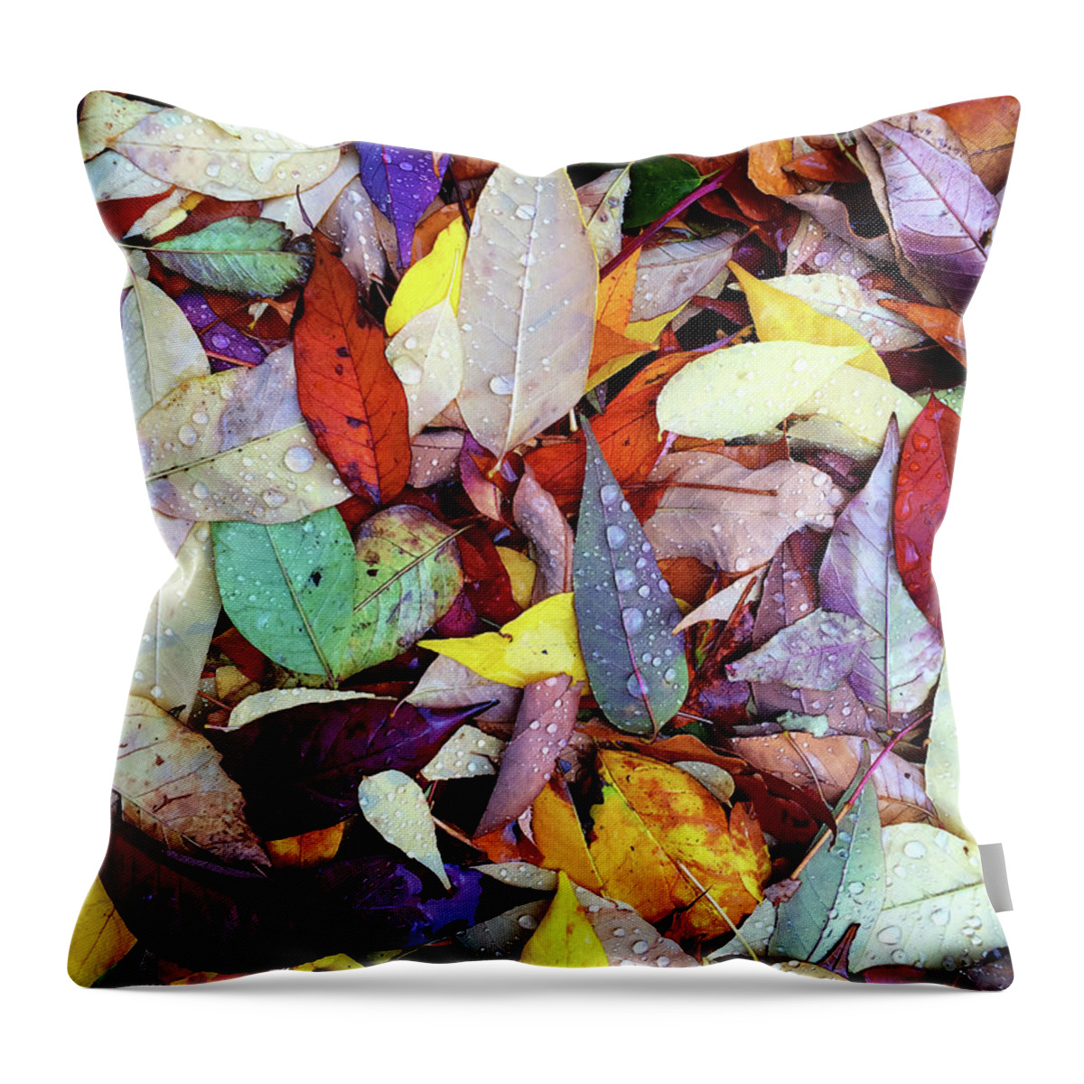 Autumn Throw Pillow featuring the photograph Colorful autumn leaves in raindrops by GoodMood Art