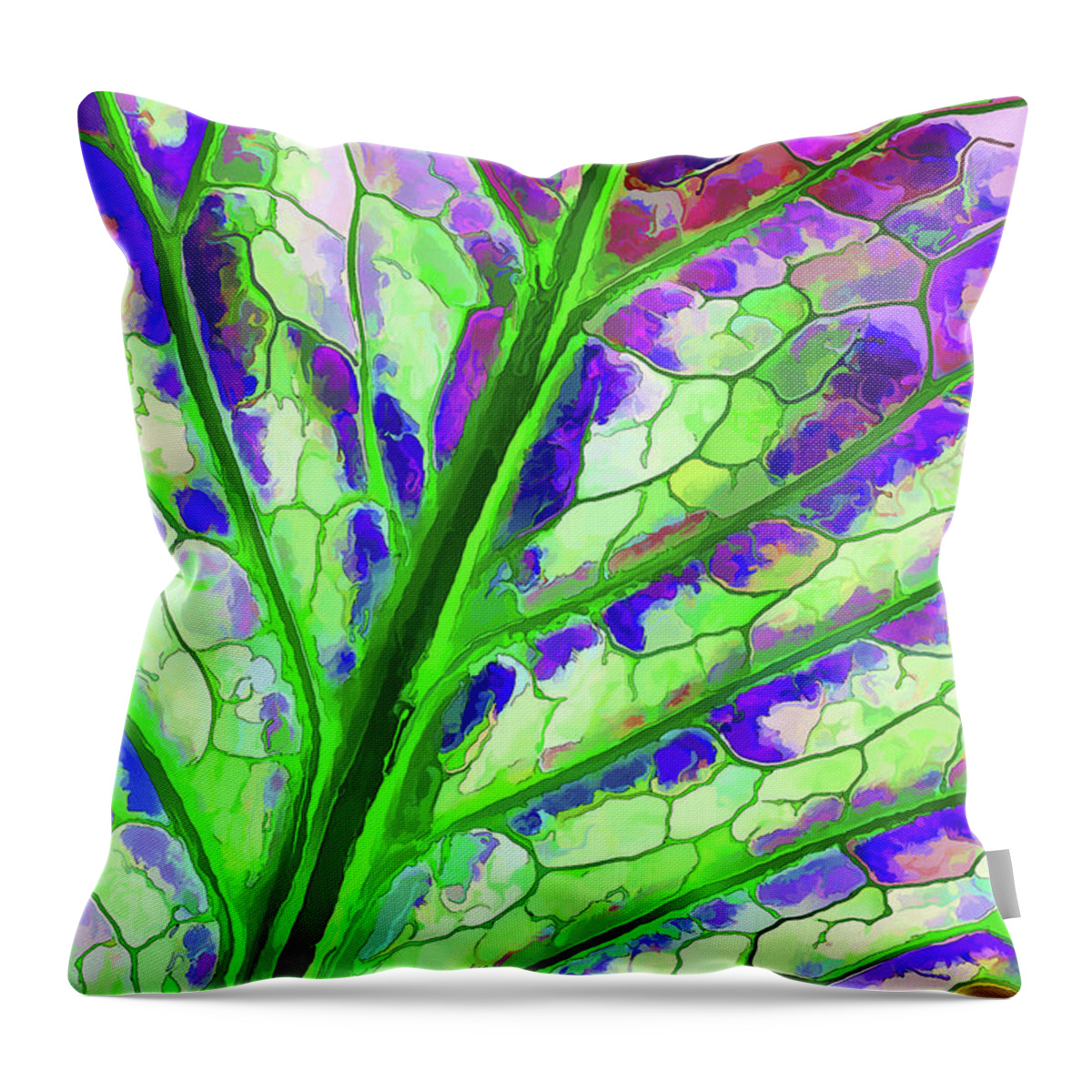 Nature Throw Pillow featuring the digital art Colorful Coleus Abstract 4 by ABeautifulSky Photography by Bill Caldwell