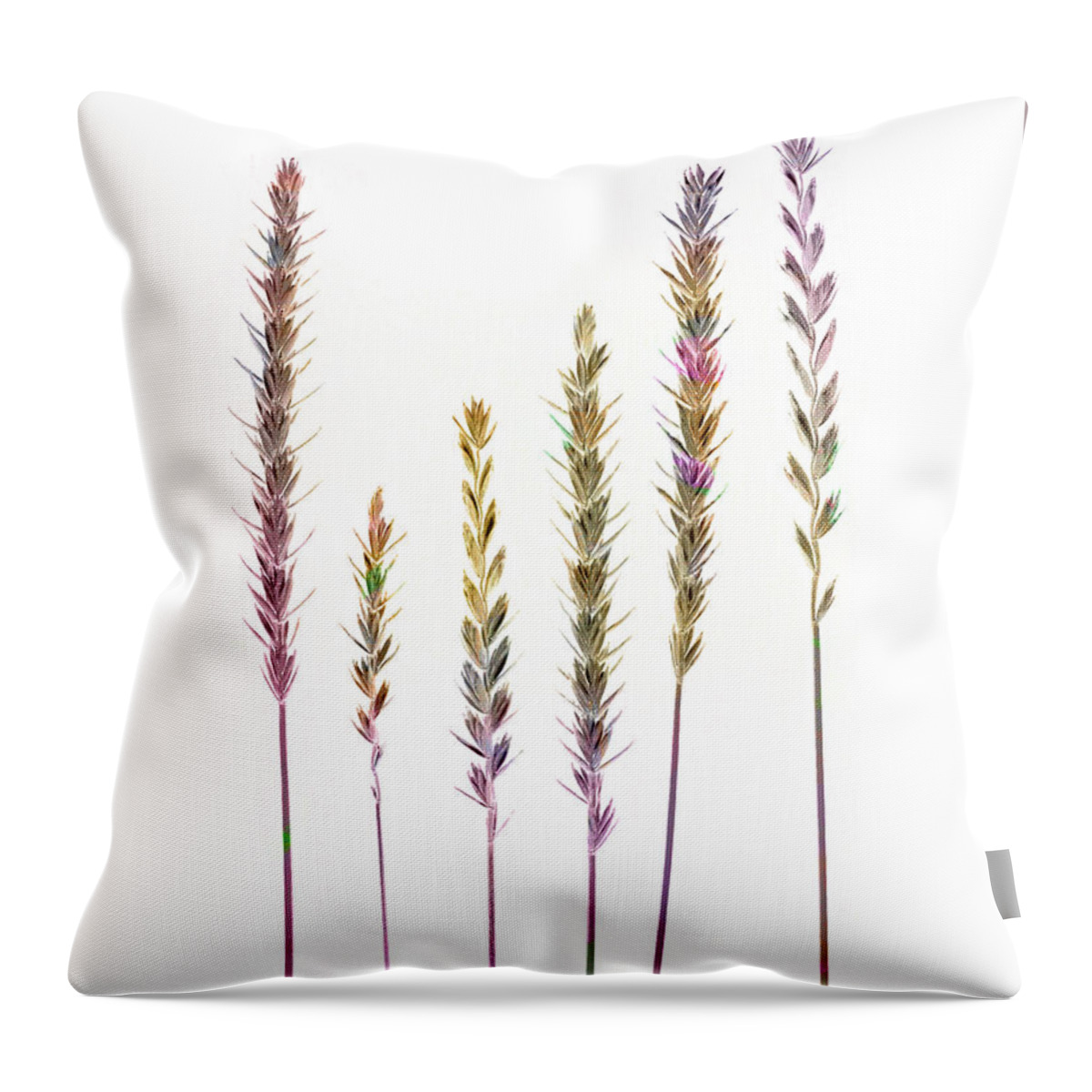 Grasses Throw Pillow featuring the digital art Colorful Grasses by Sandra Foster