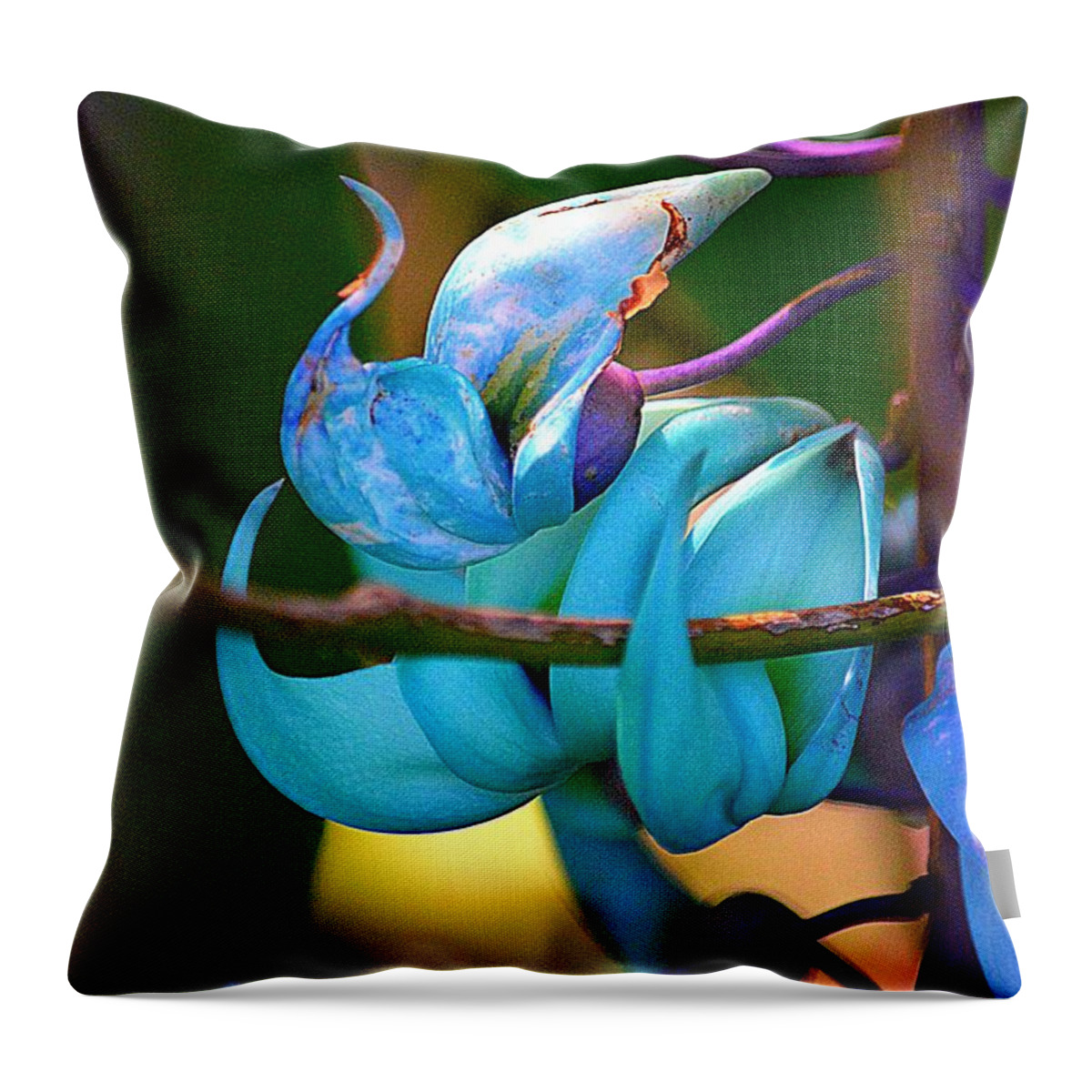 Flower Throw Pillow featuring the photograph Colorful Jade Blossom by Lori Seaman