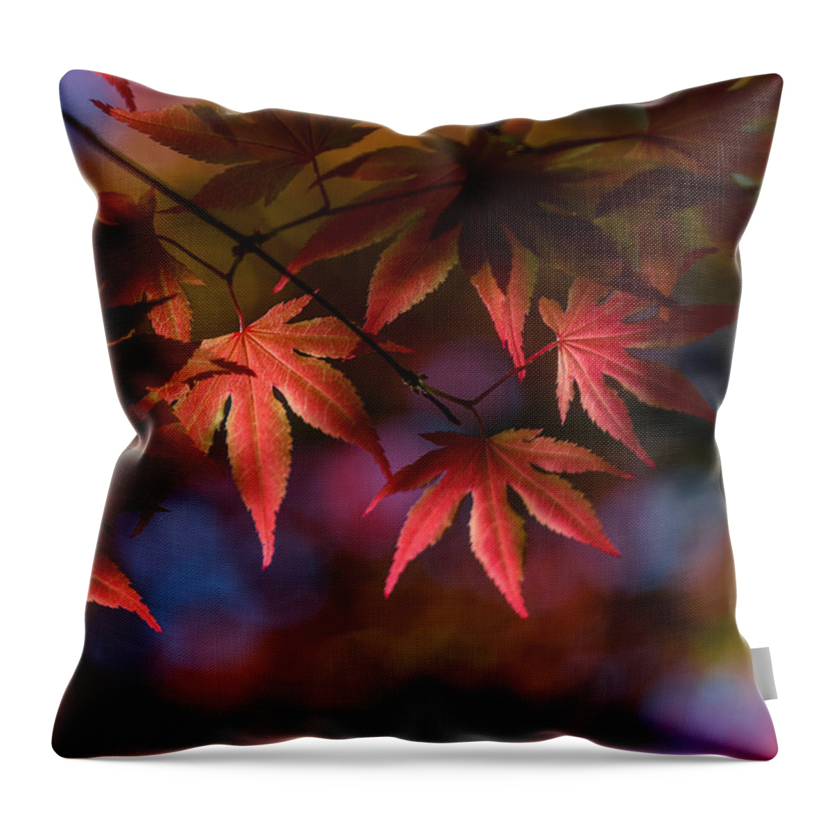 K-30 Throw Pillow featuring the photograph Colorful Japanese Maple by Lori Coleman